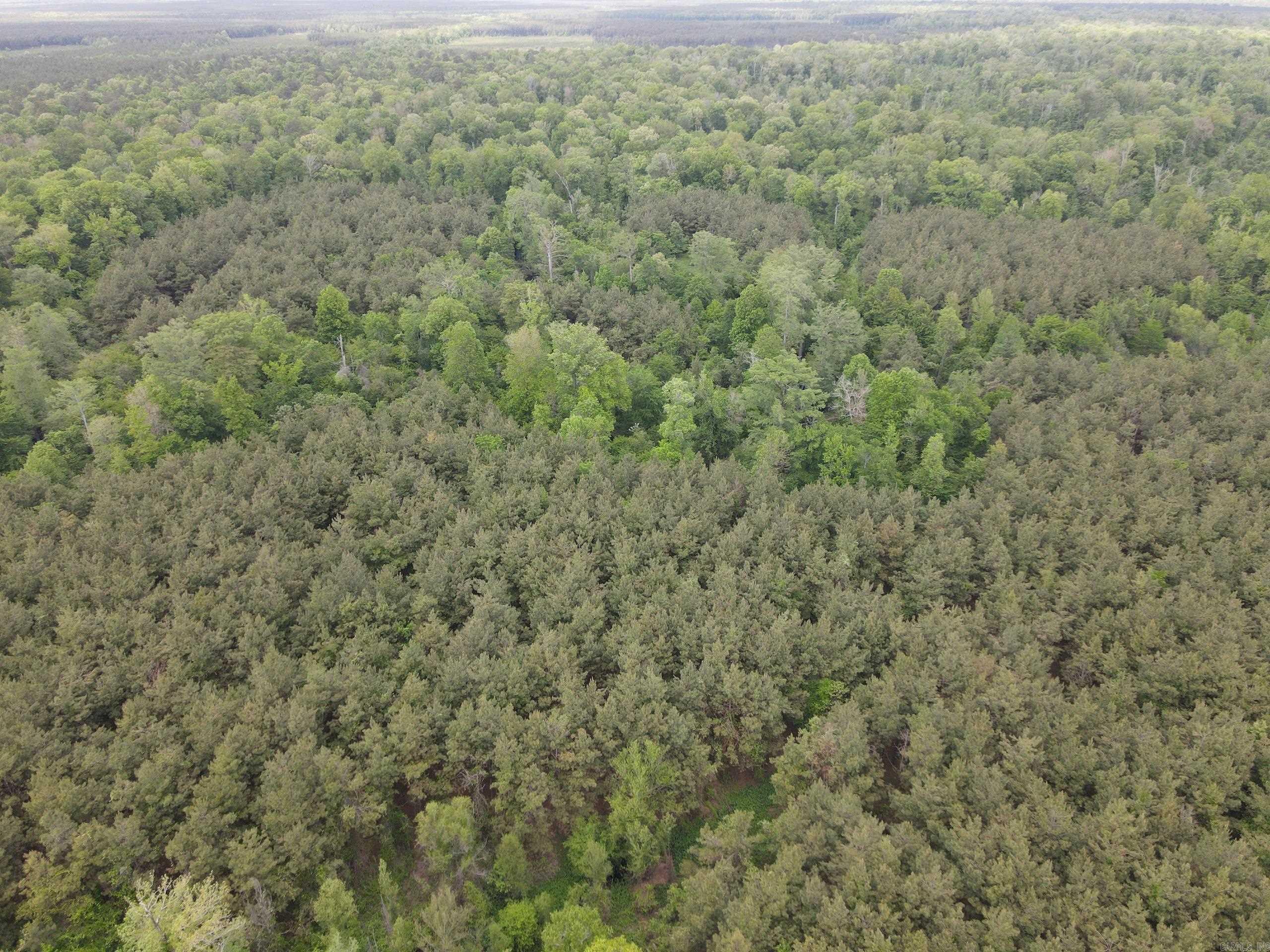 002 County Road 29  Hamburg, AR