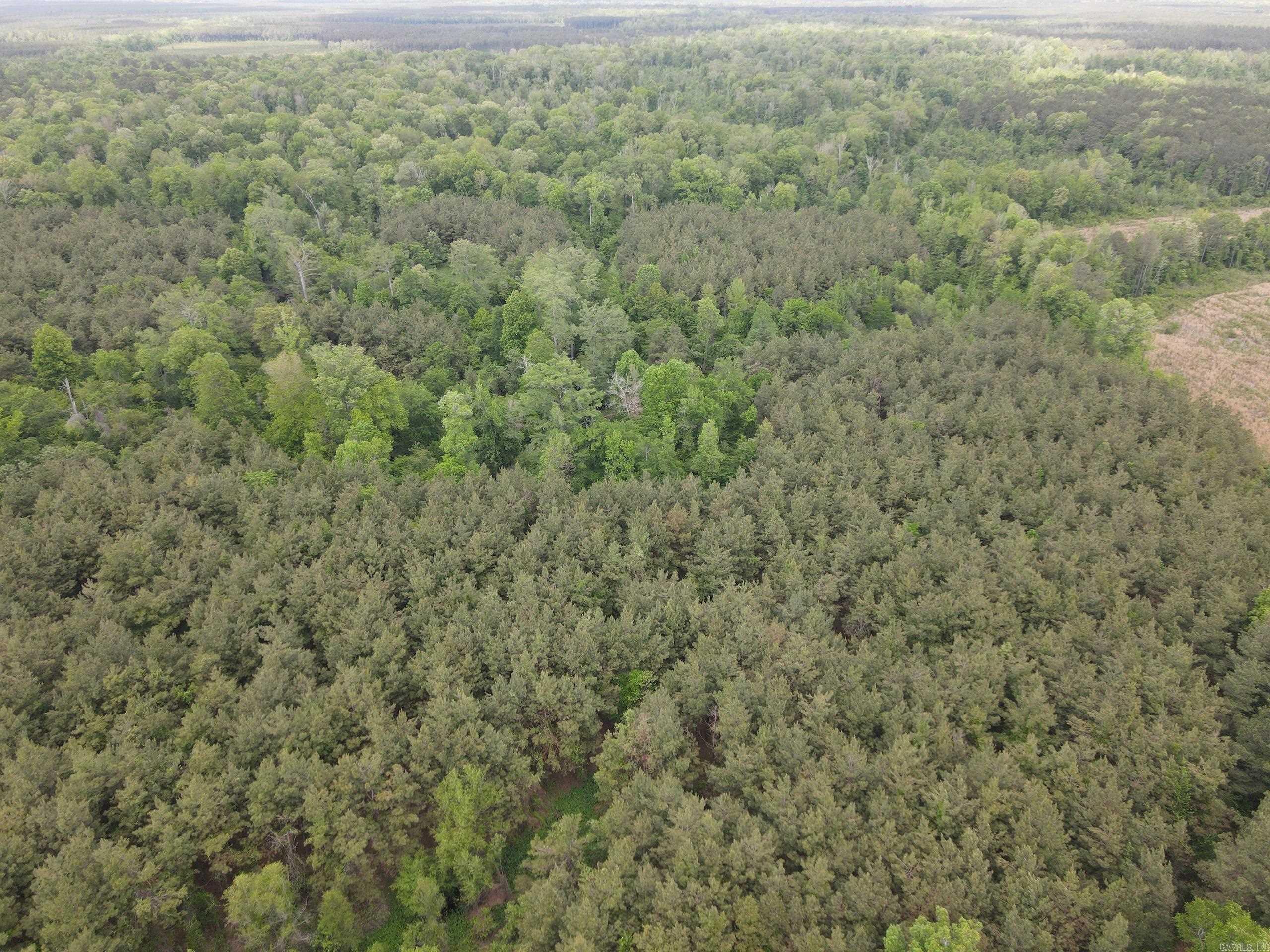 002 County Road 29  Hamburg, AR