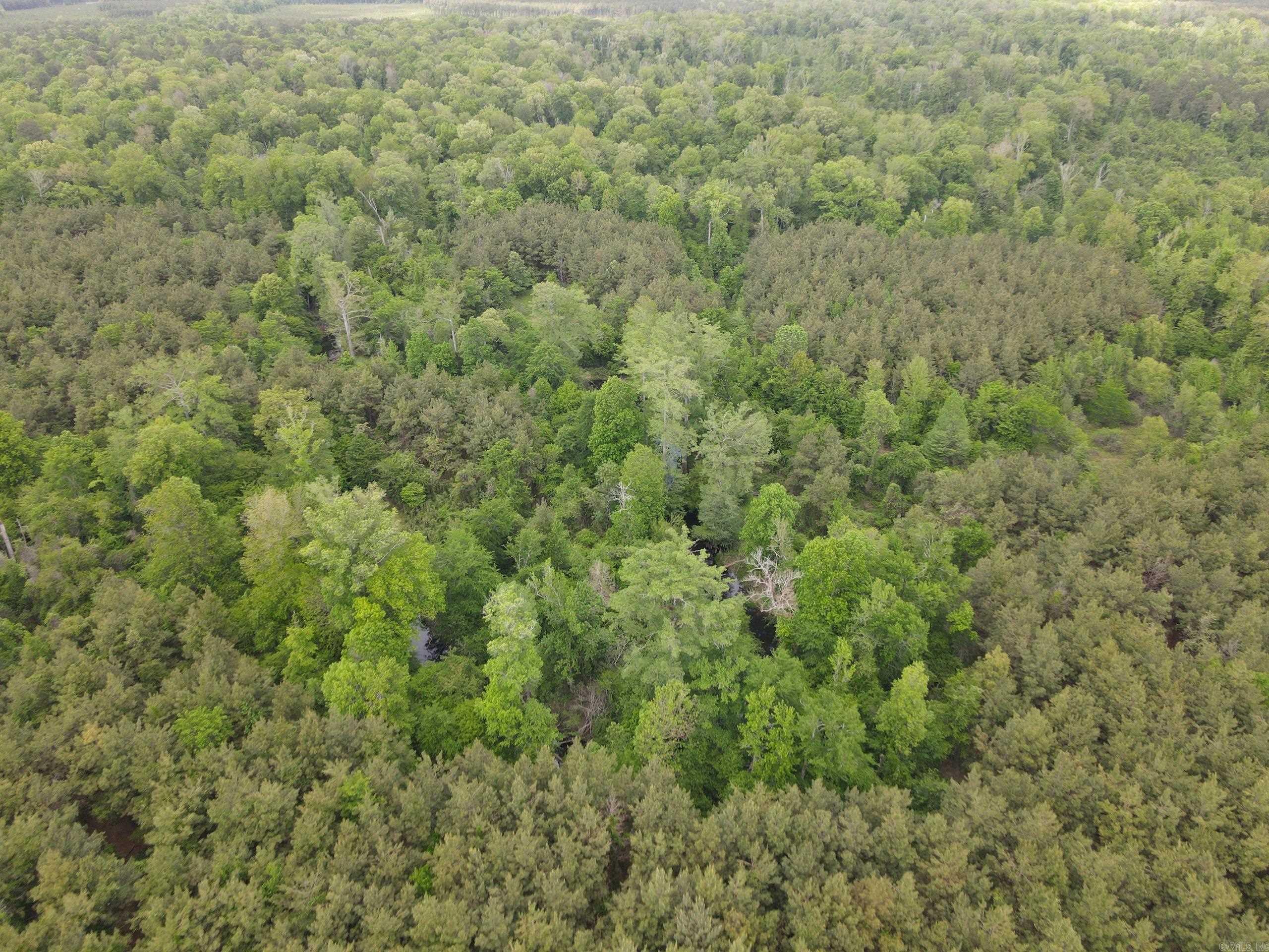 002 County Road 29  Hamburg, AR