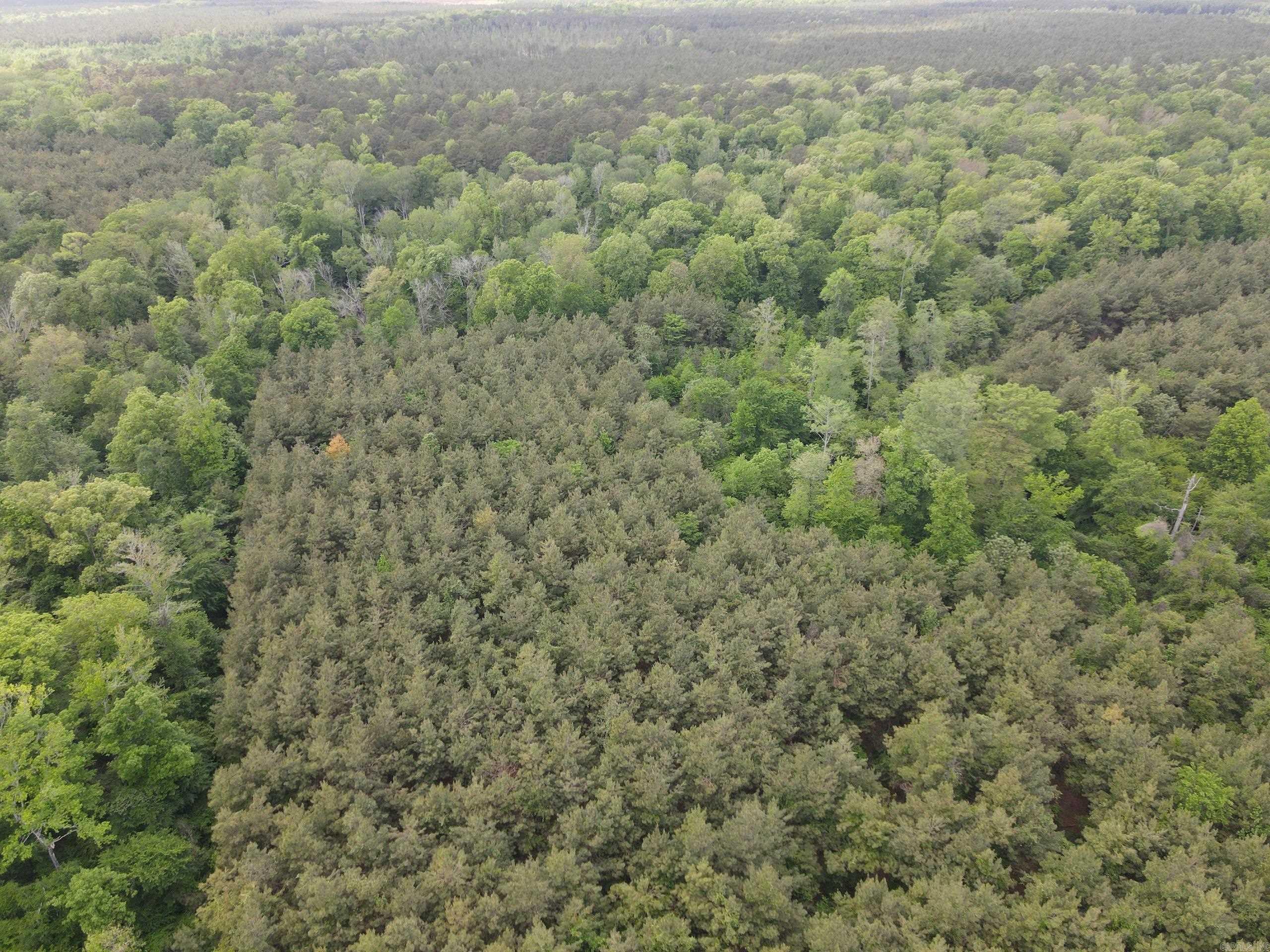 002 County Road 29  Hamburg, AR