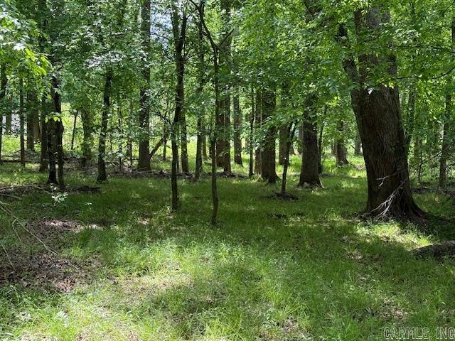  Wood Duck Trail  Jacksonville, AR