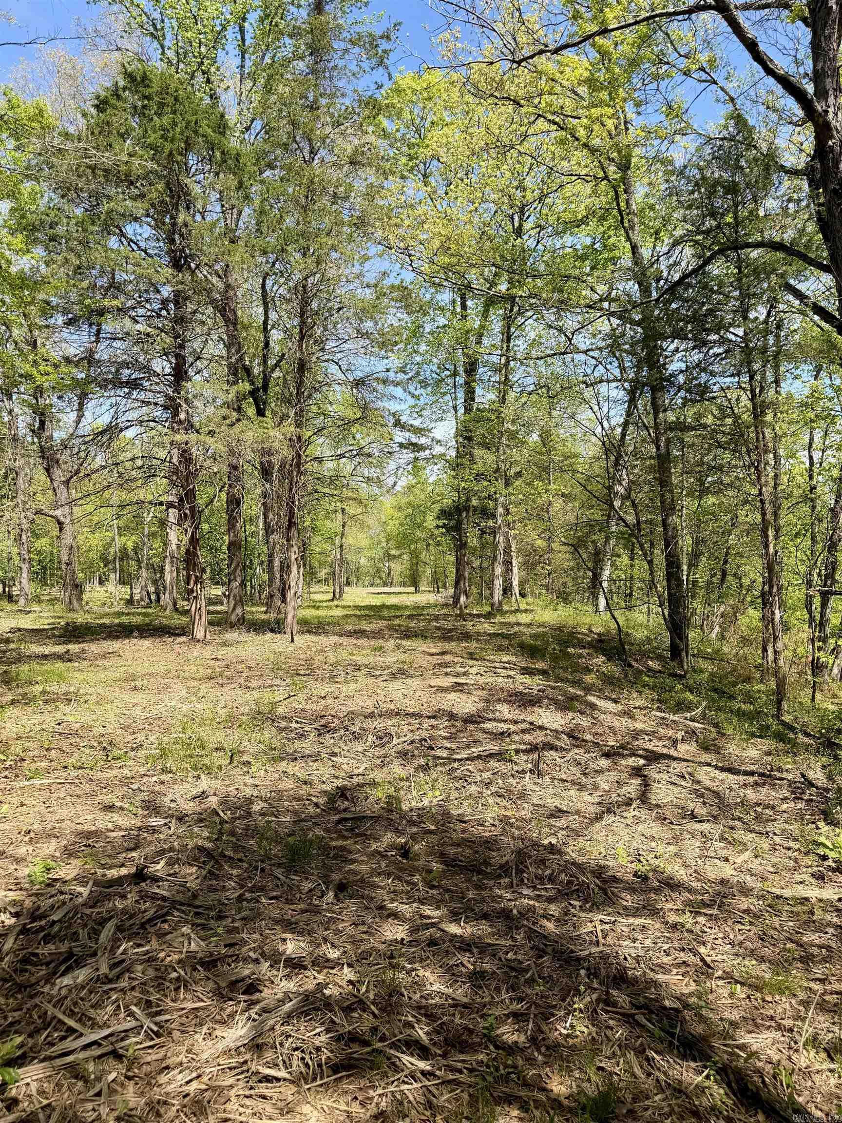 000 Treva Lane  Clarksville City, AR