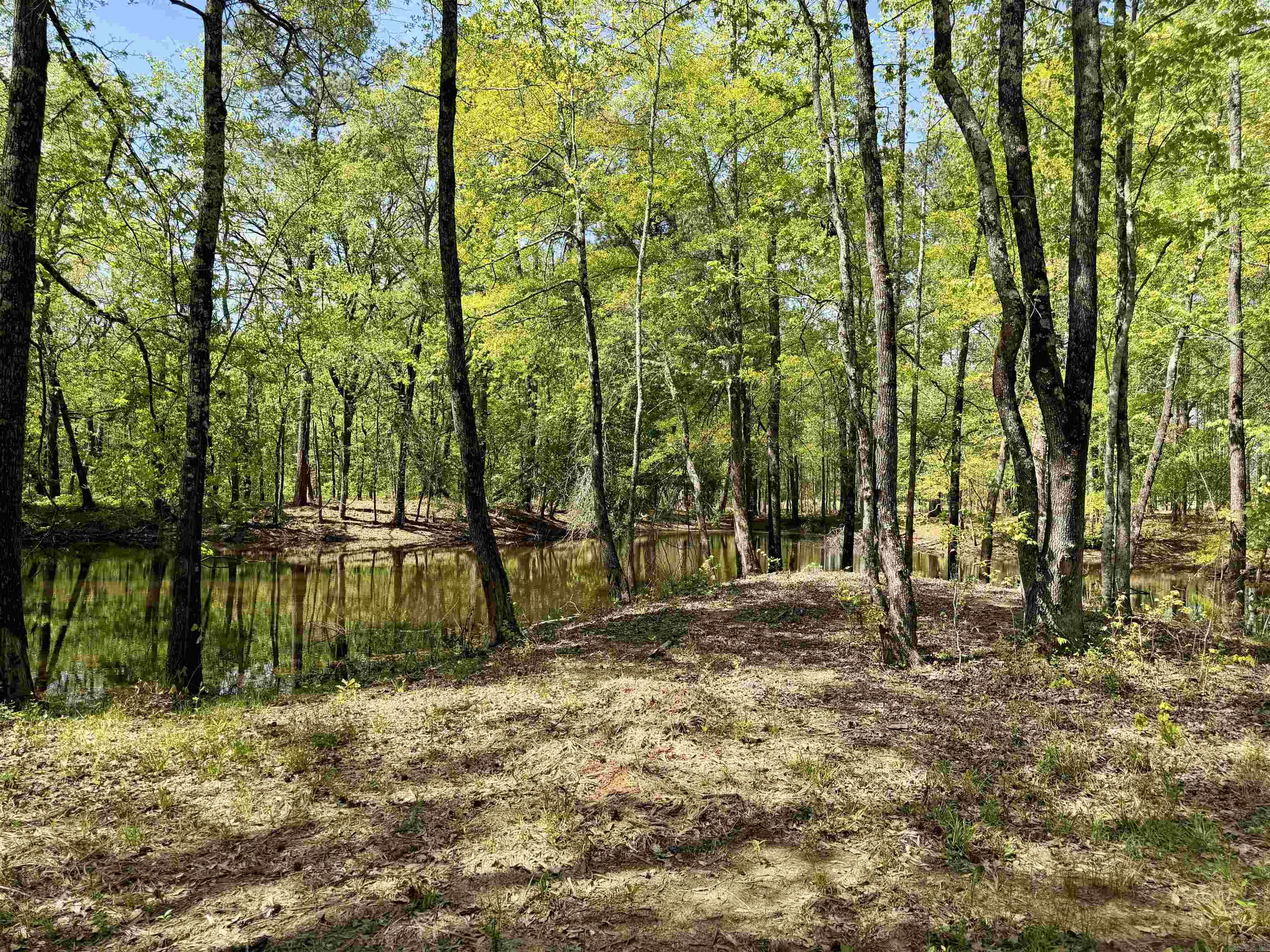 000 Treva Lane  Clarksville City, AR