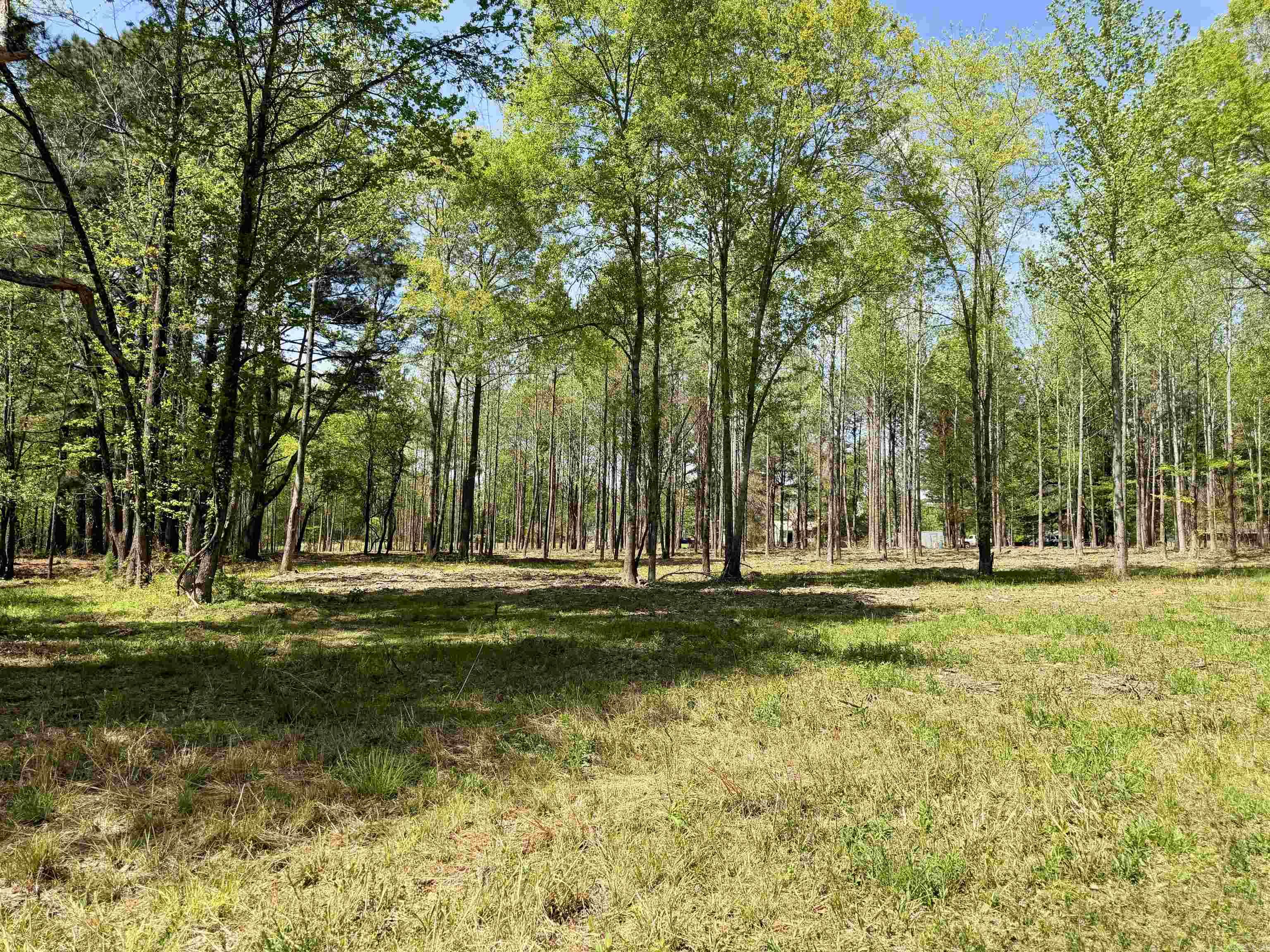 000 Treva Lane  Clarksville City, AR