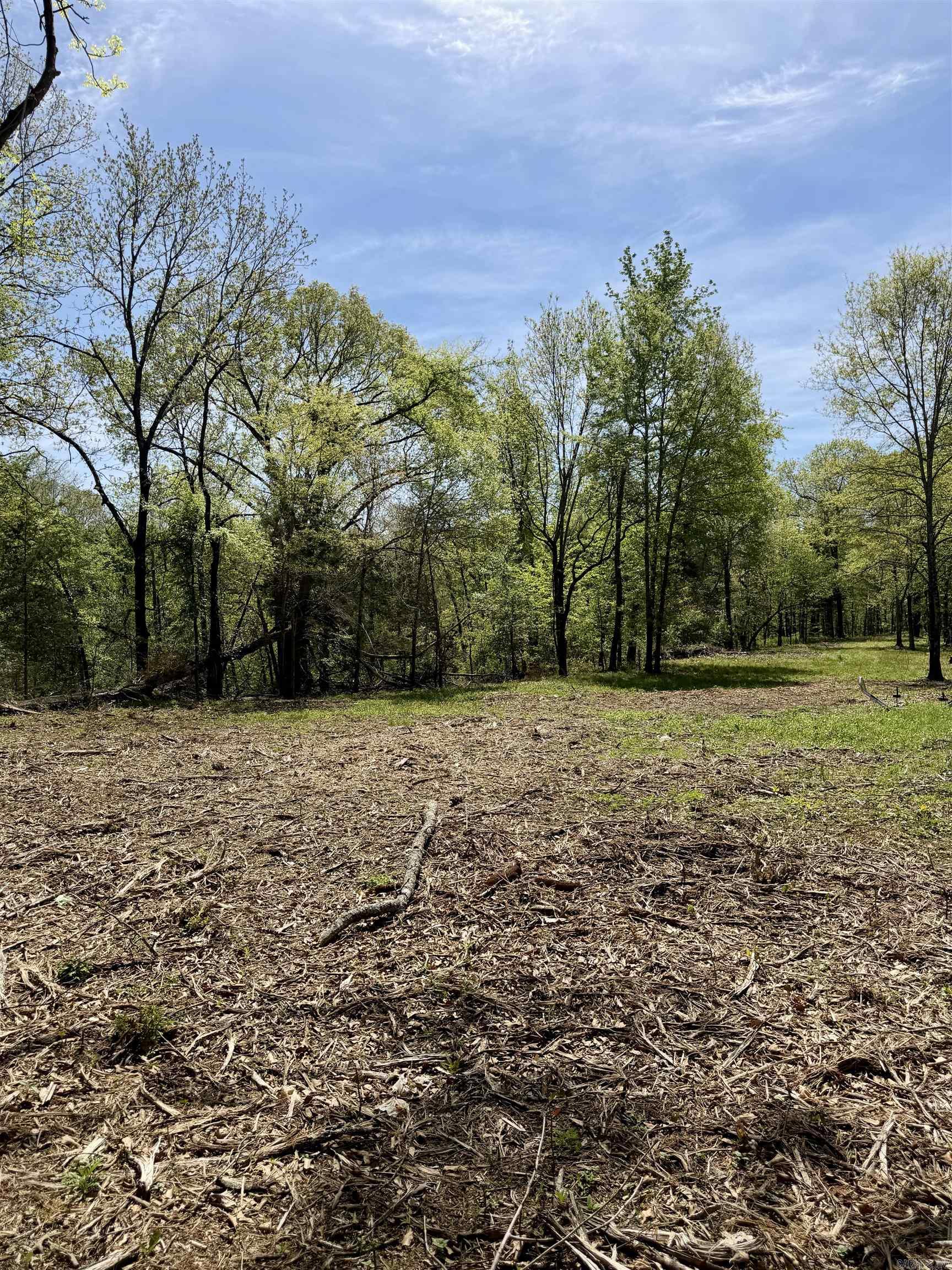 000 Treva Lane  Clarksville City, AR