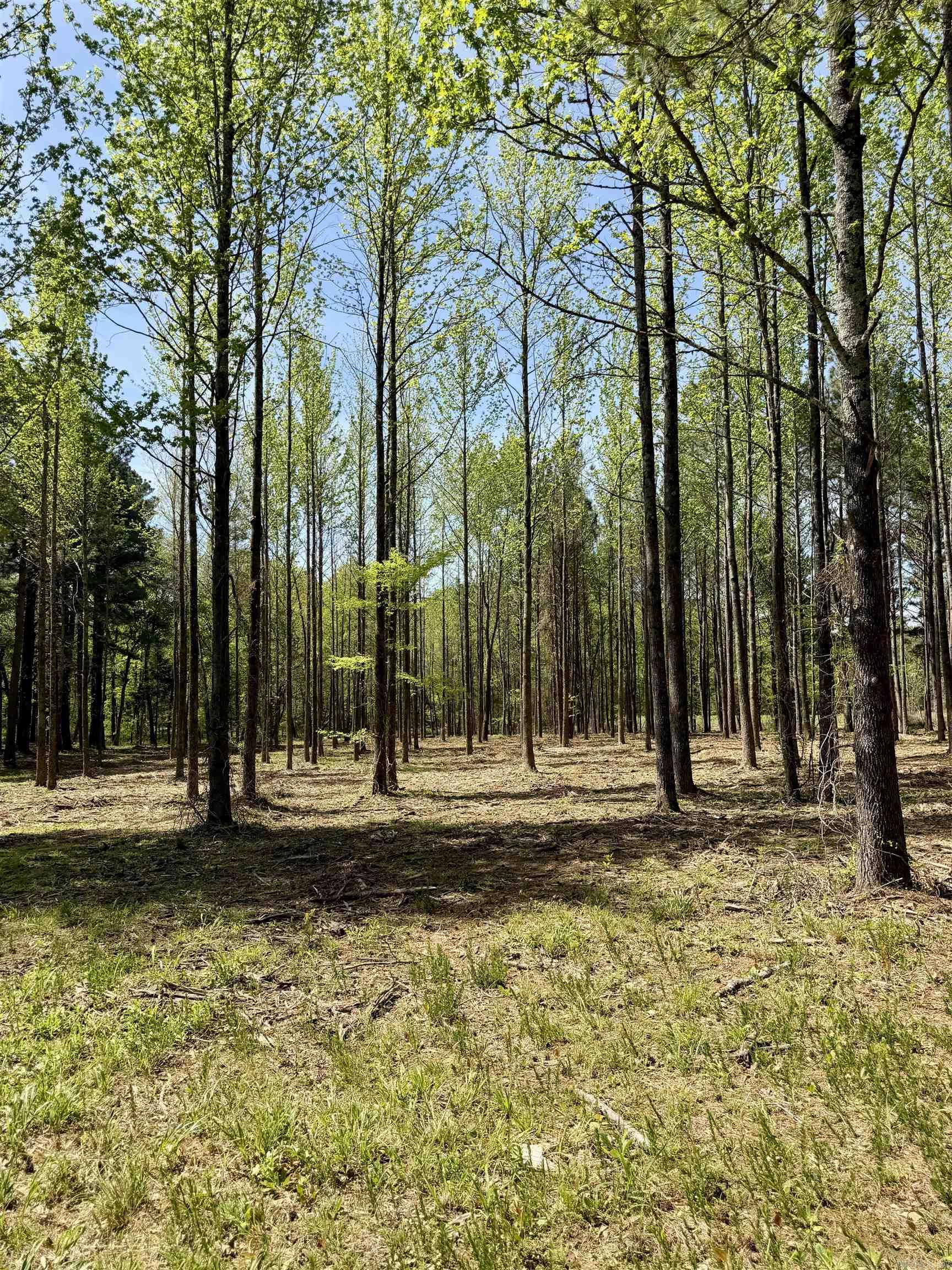 000 Treva Lane  Clarksville City, AR