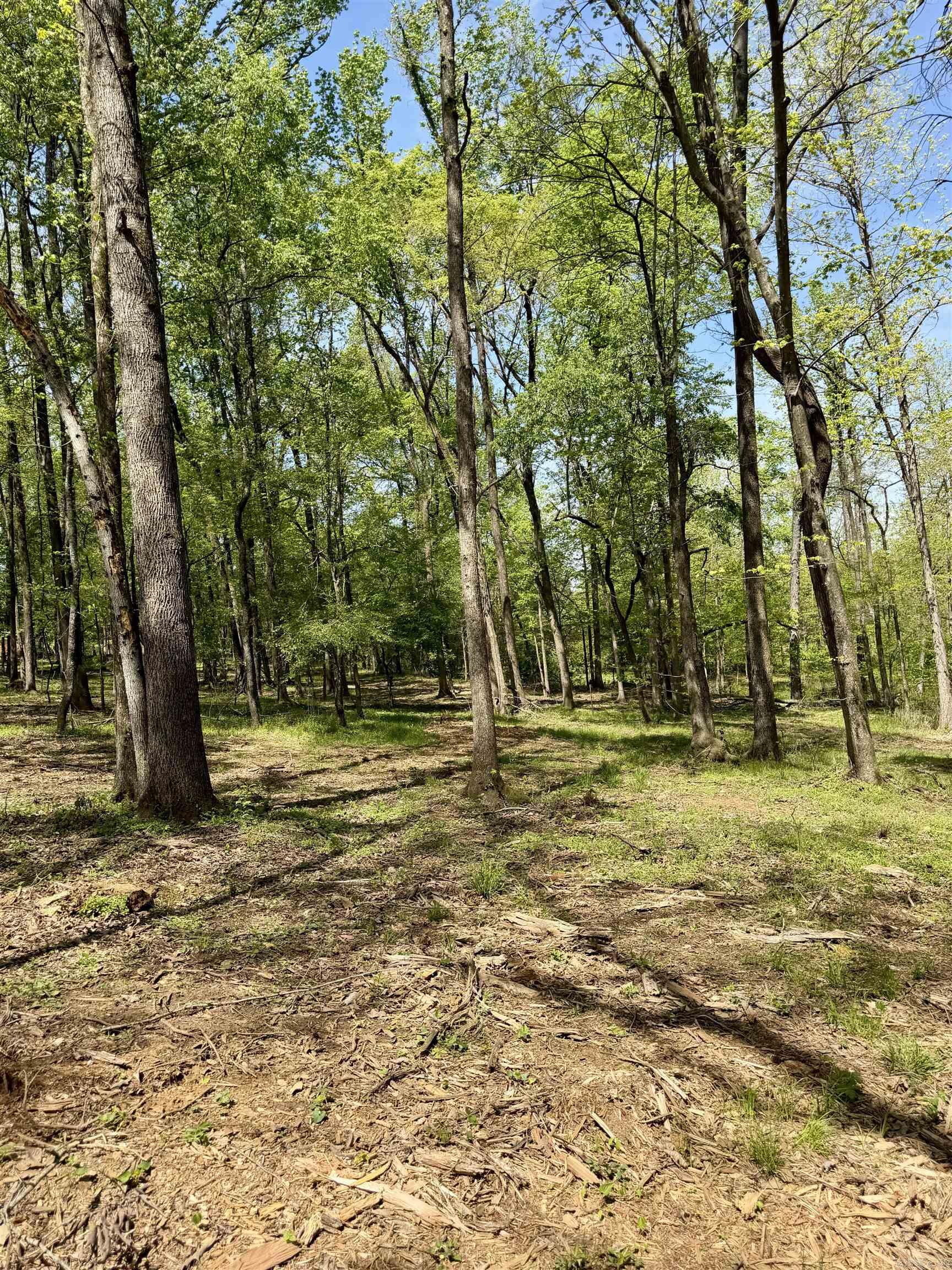 000 Treva Lane  Clarksville City, AR