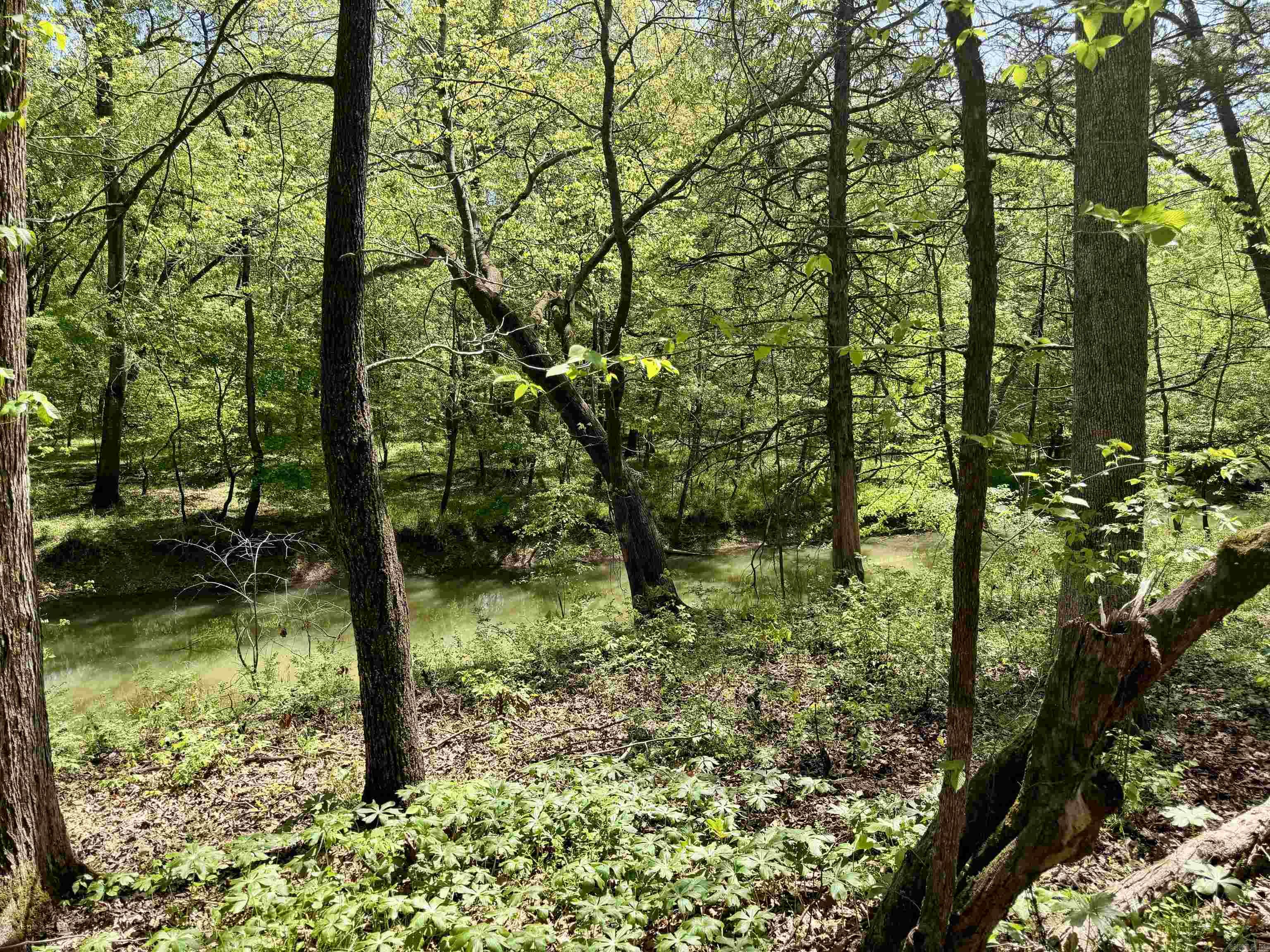 000 Treva Lane  Clarksville City, AR