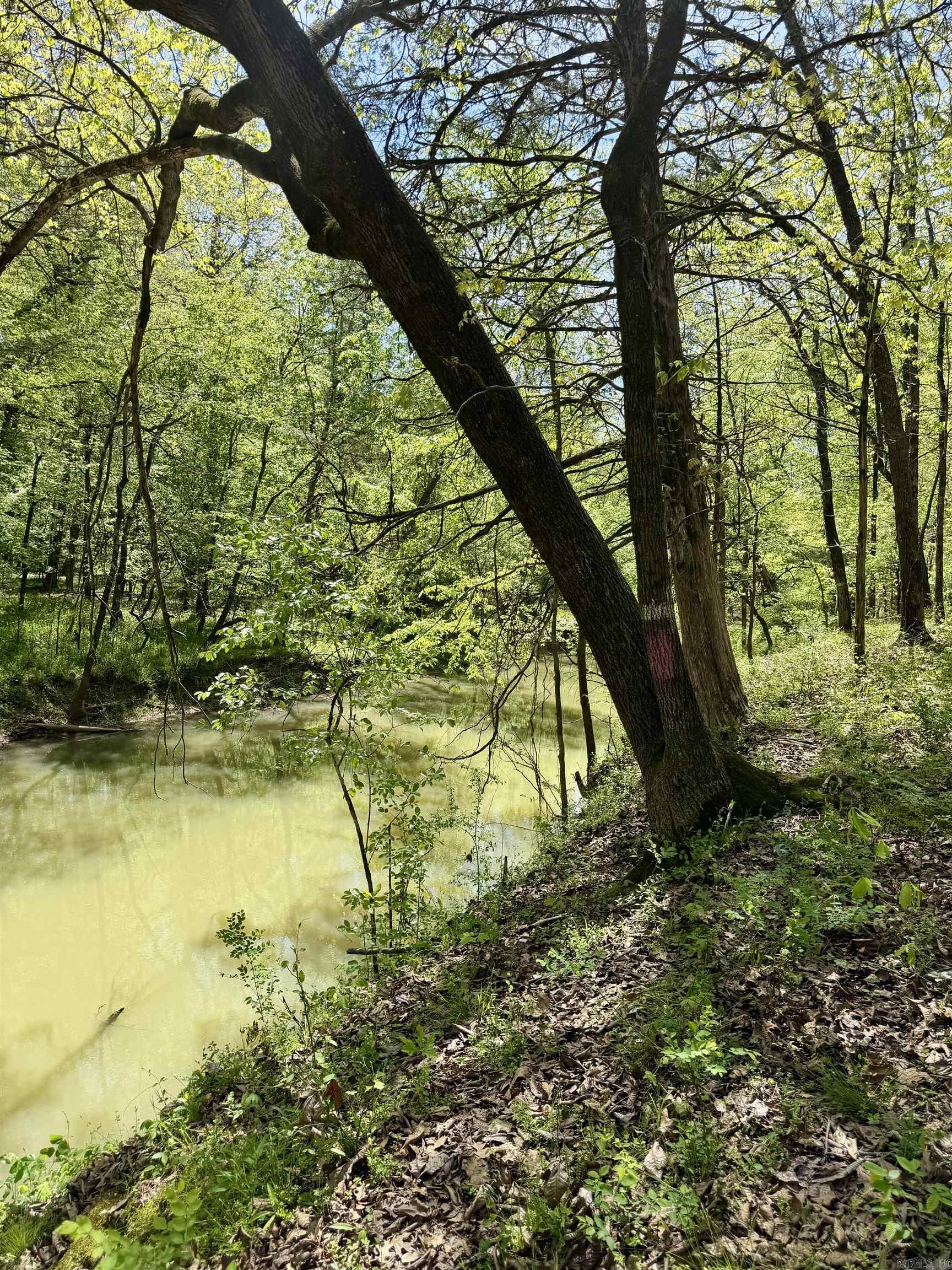 000 Treva Lane  Clarksville City, AR