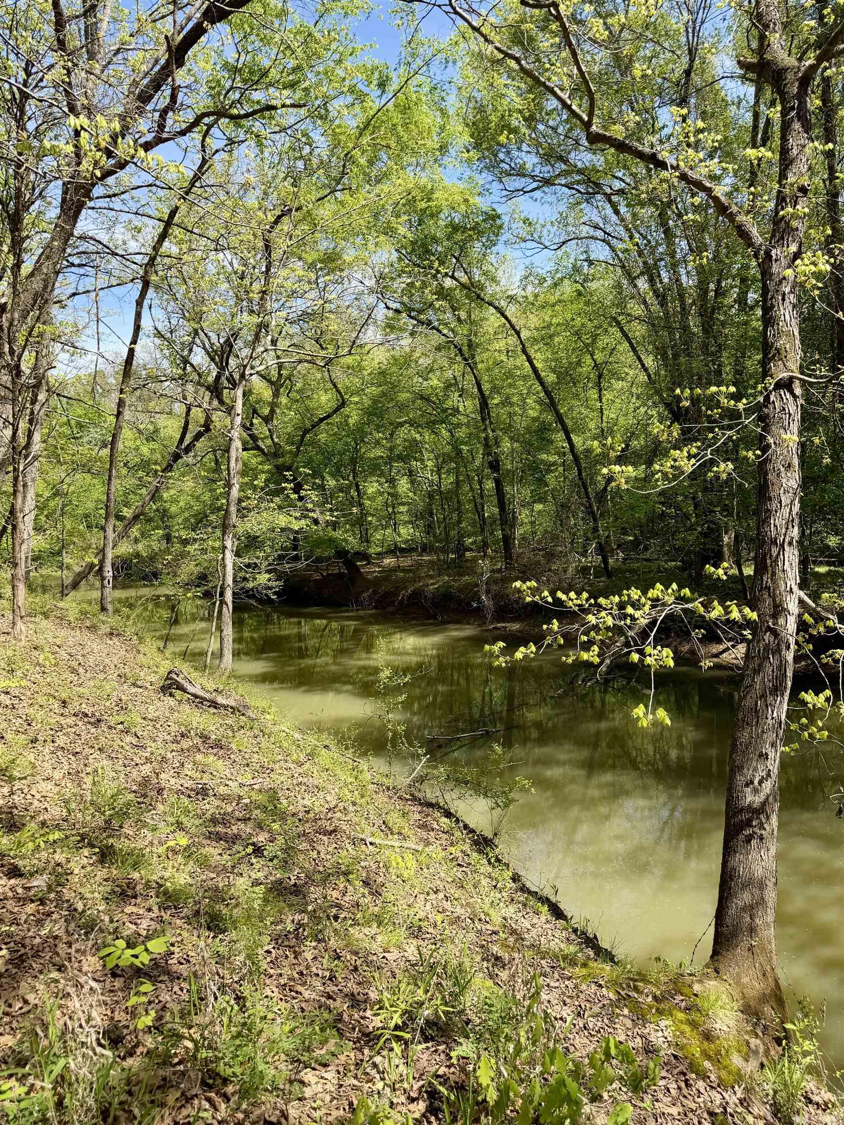 000 Treva Lane  Clarksville City, AR