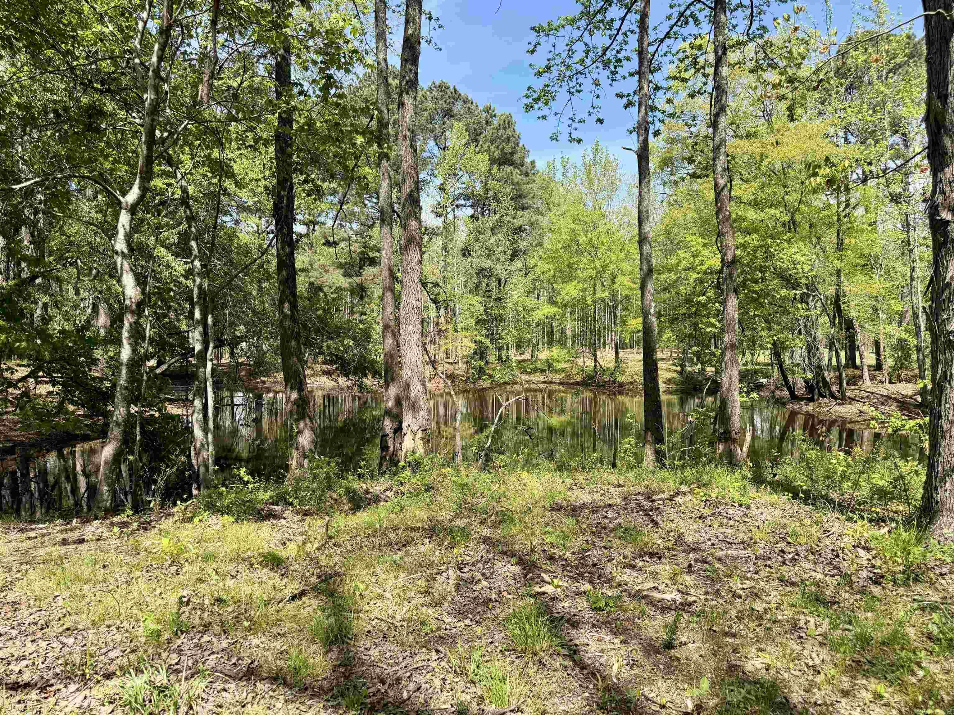 000 Treva Lane  Clarksville City, AR