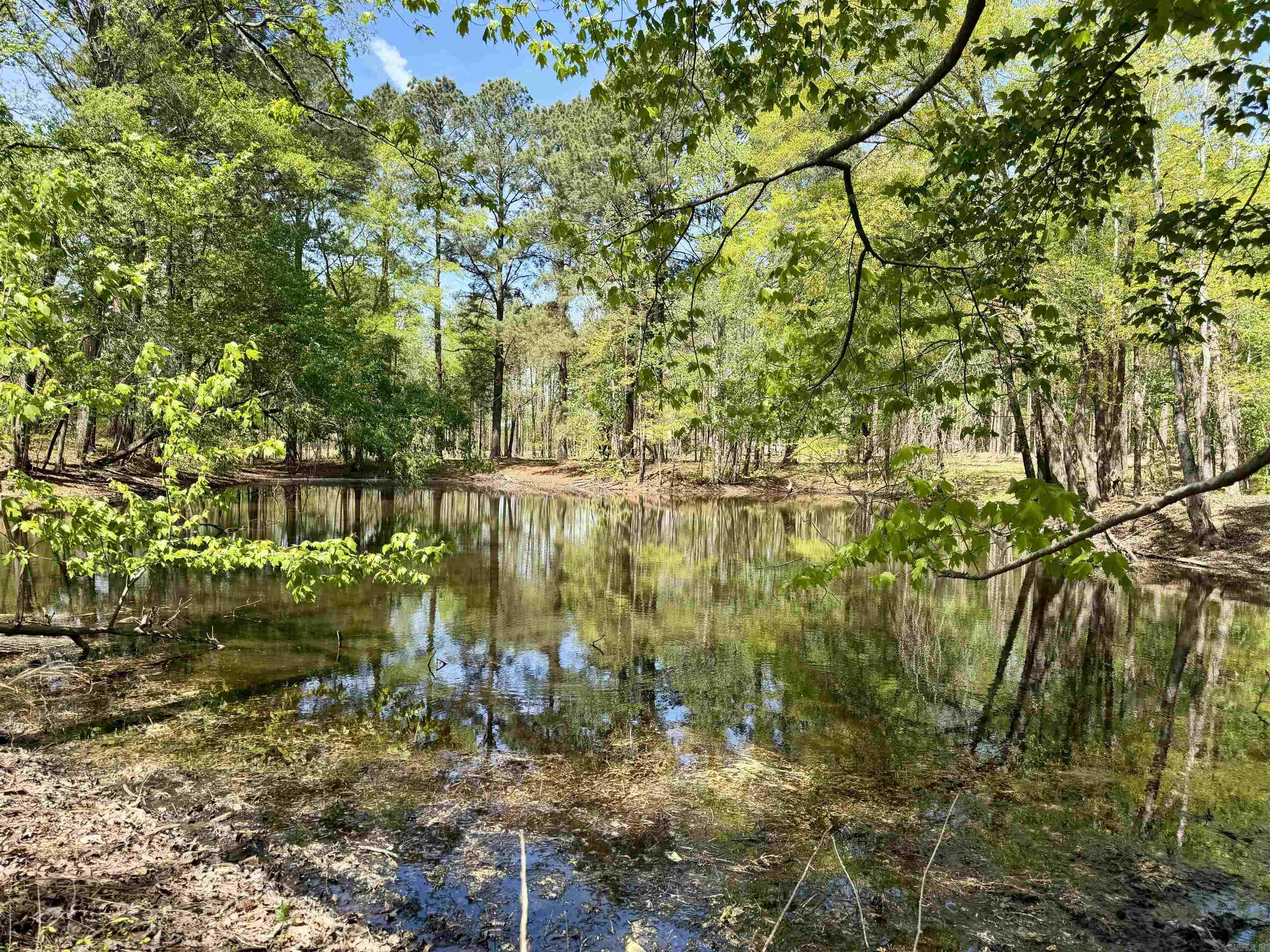 000 Treva Lane  Clarksville City, AR