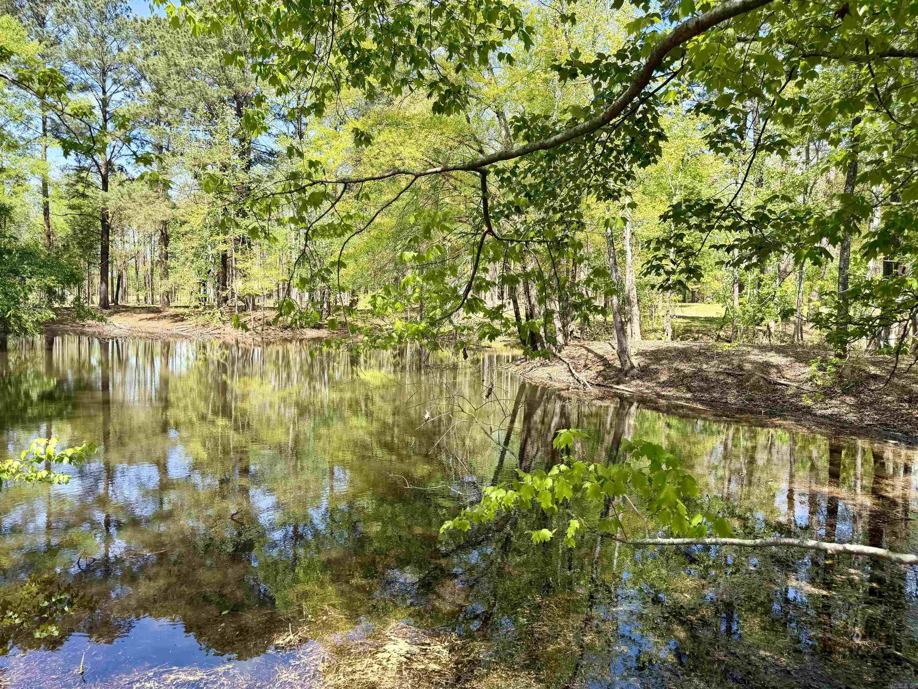 000 Treva Lane  Clarksville City, AR