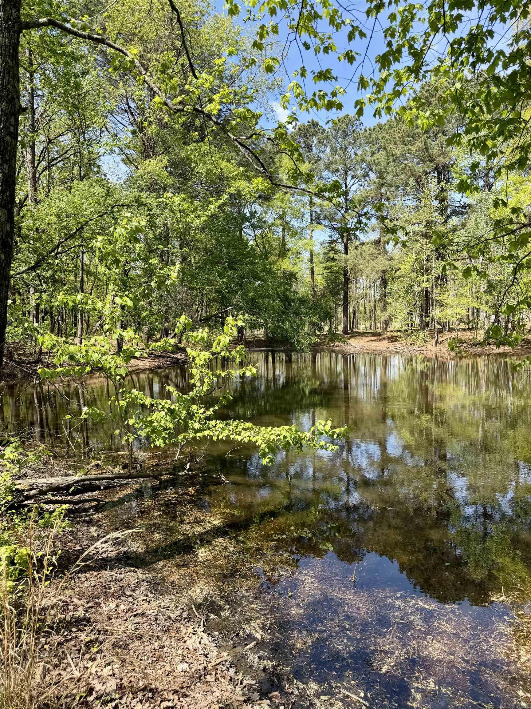 000 Treva Lane  Clarksville City, AR