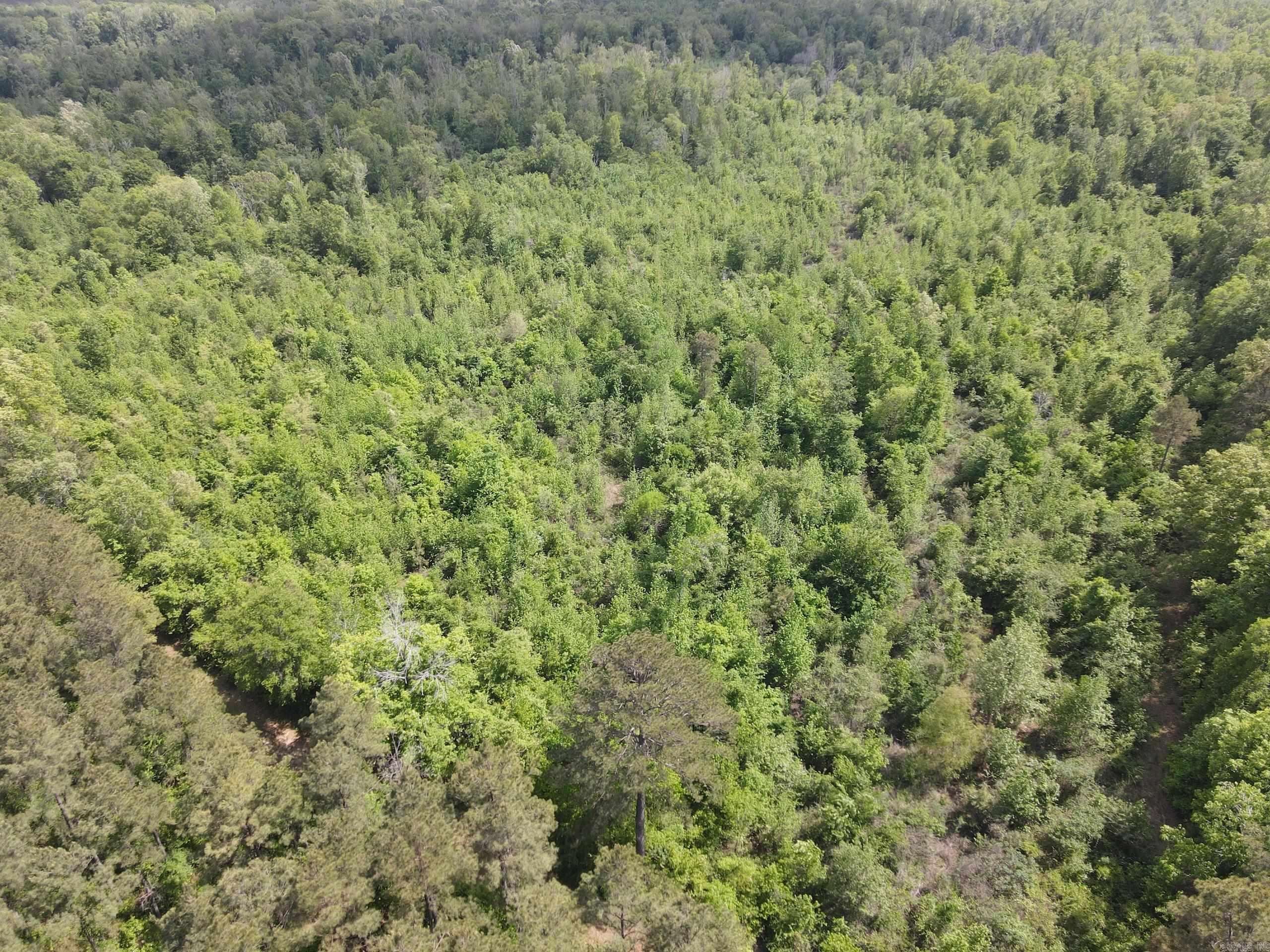 000 County Road 311  Hamburg, AR