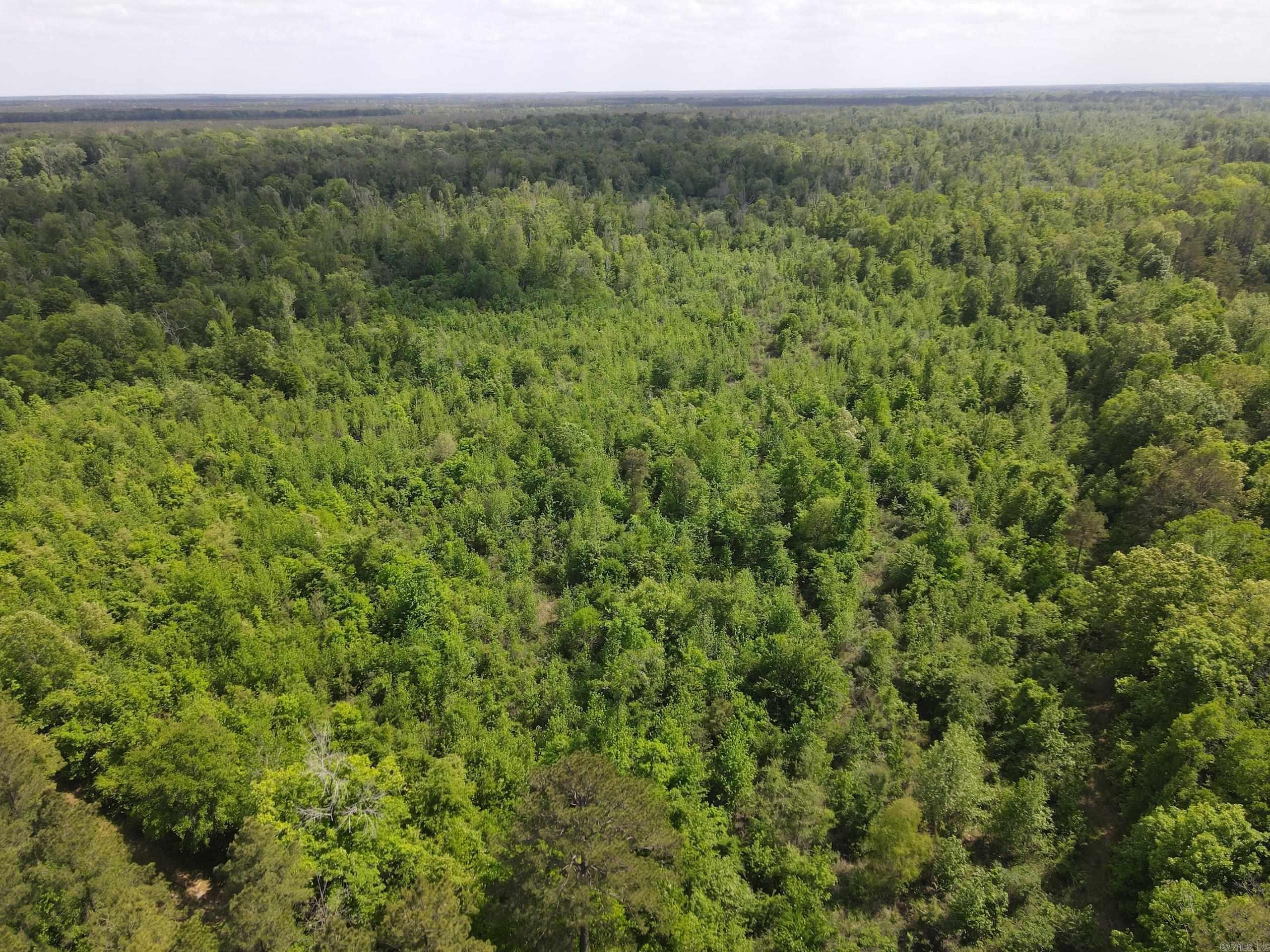 000 County Road 311  Hamburg, AR