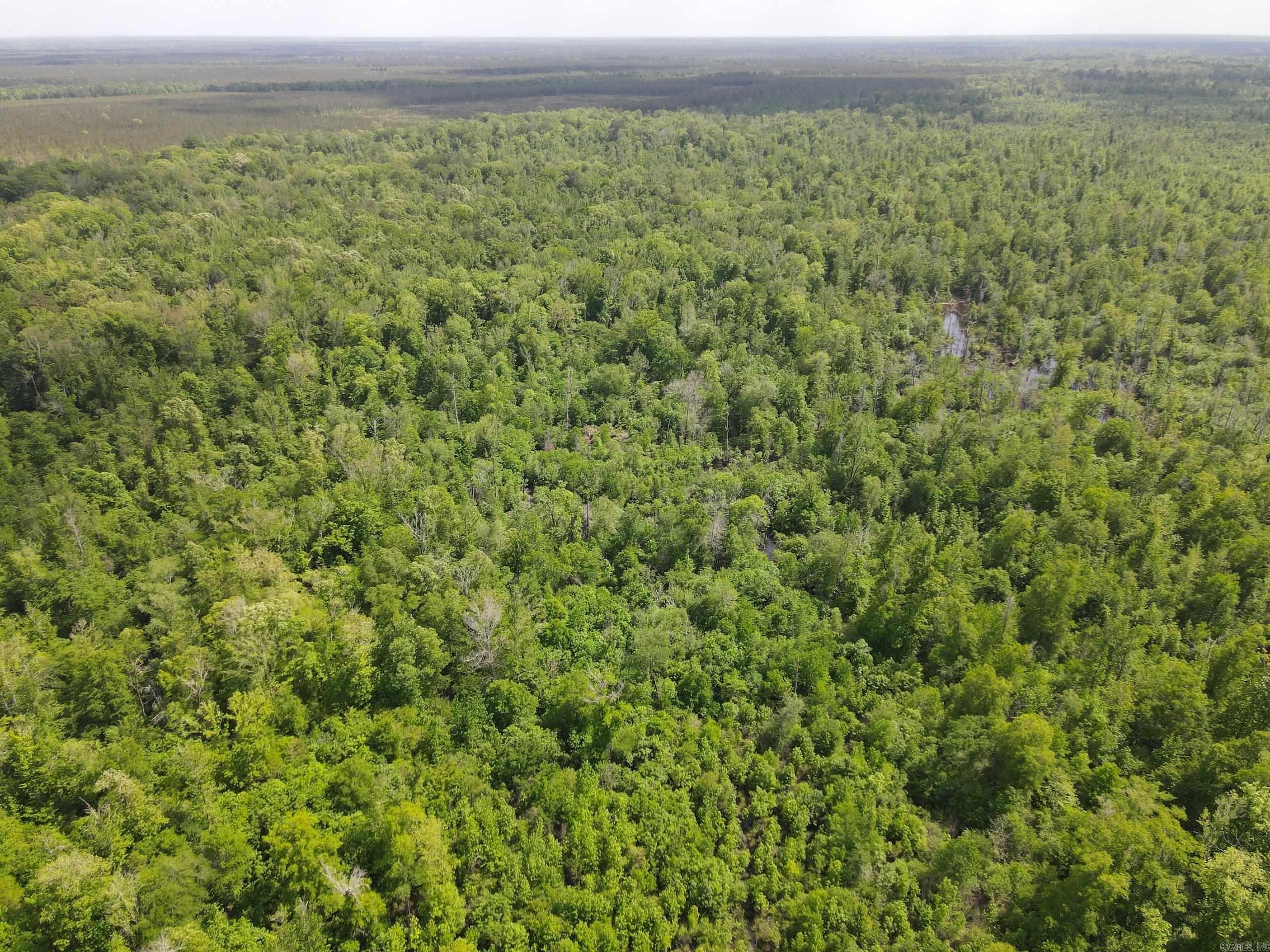 000 County Road 311  Hamburg, AR