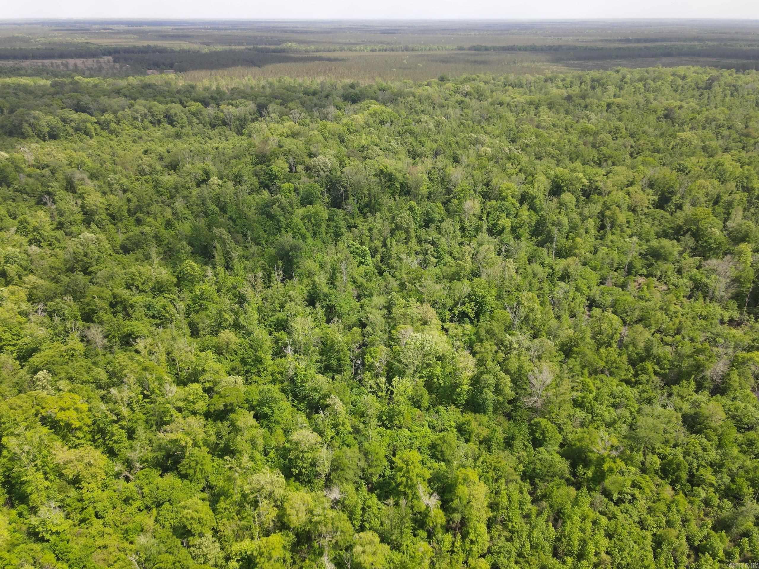 000 County Road 311  Hamburg, AR