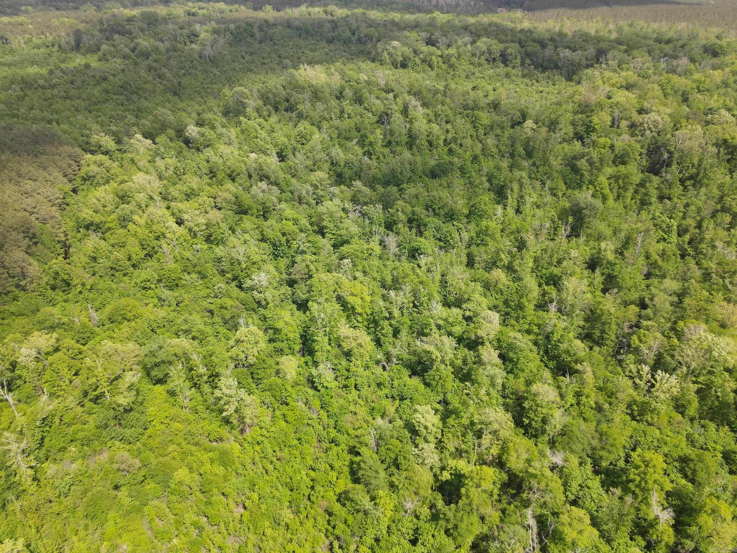 000 County Road 311  Hamburg, AR