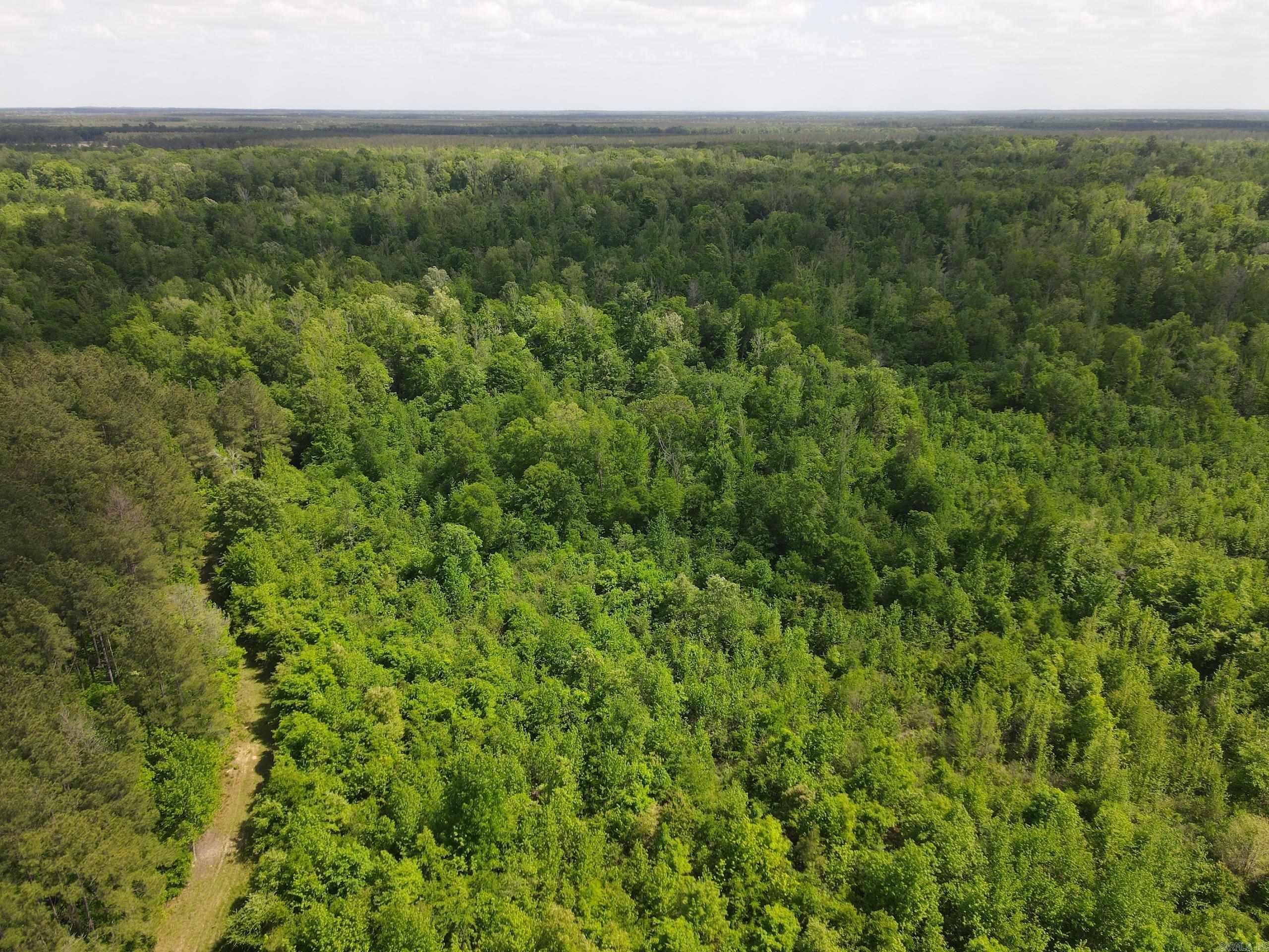 000 County Road 311  Hamburg, AR