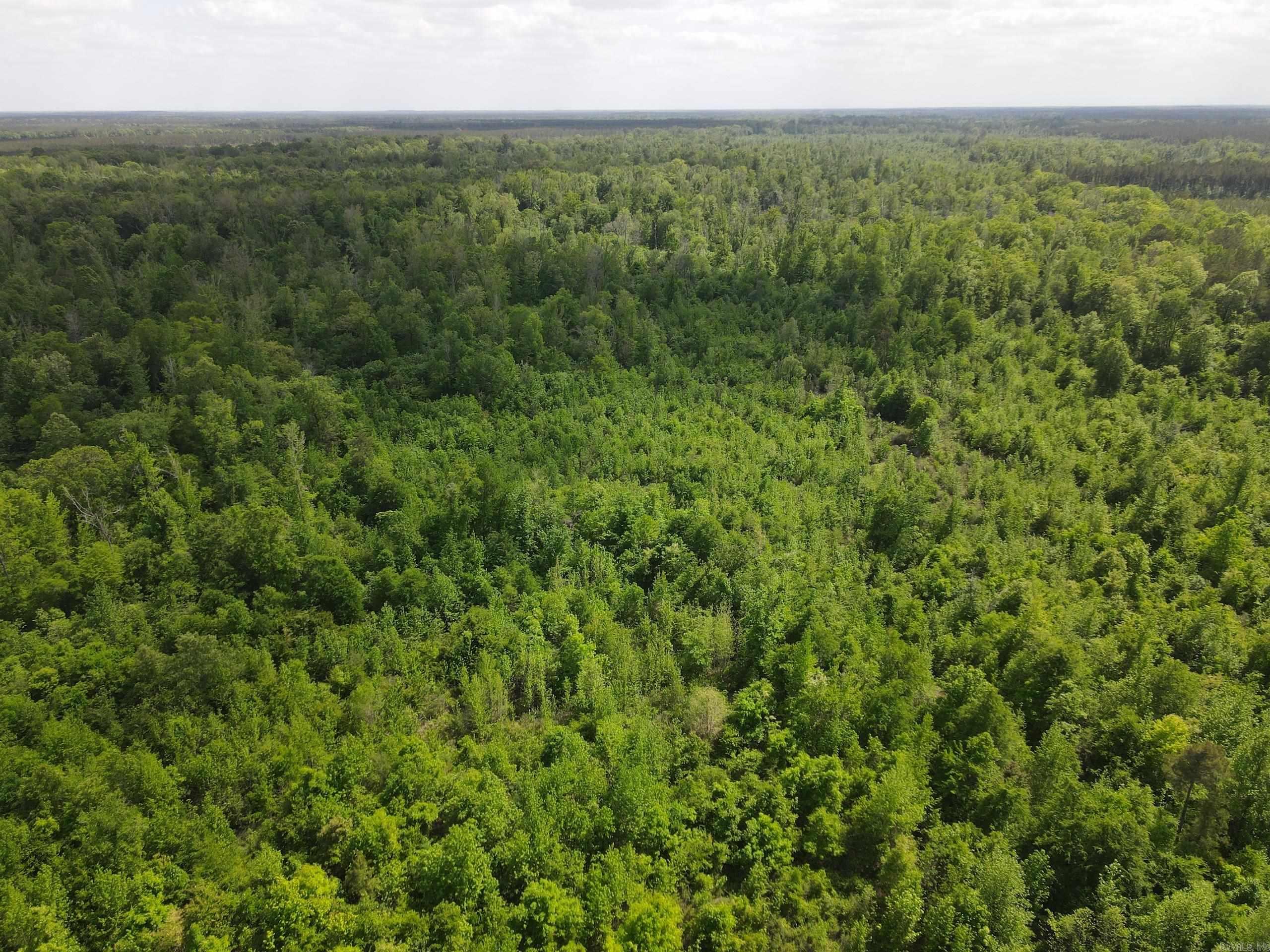 000 County Road 311  Hamburg, AR