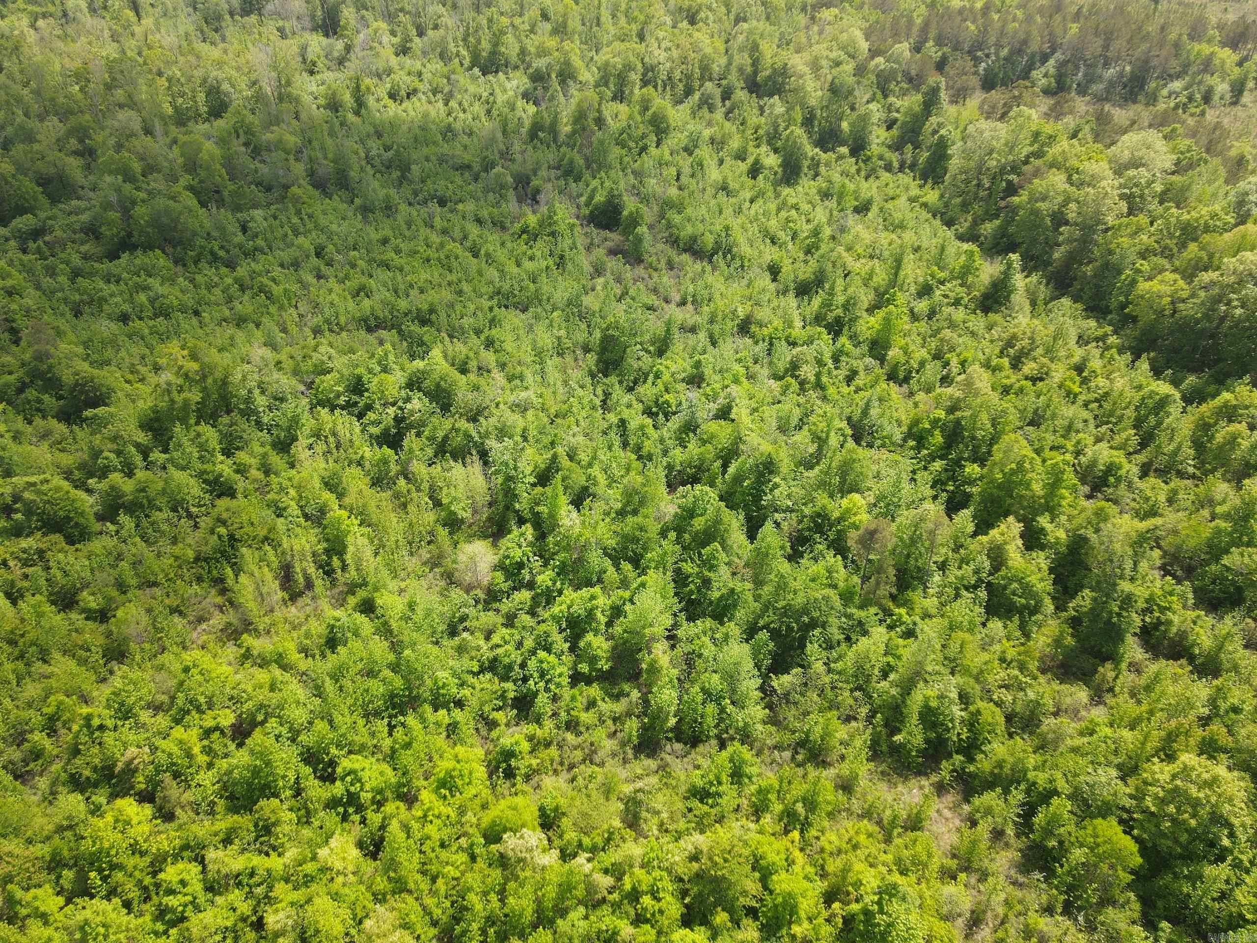 000 County Road 311  Hamburg, AR