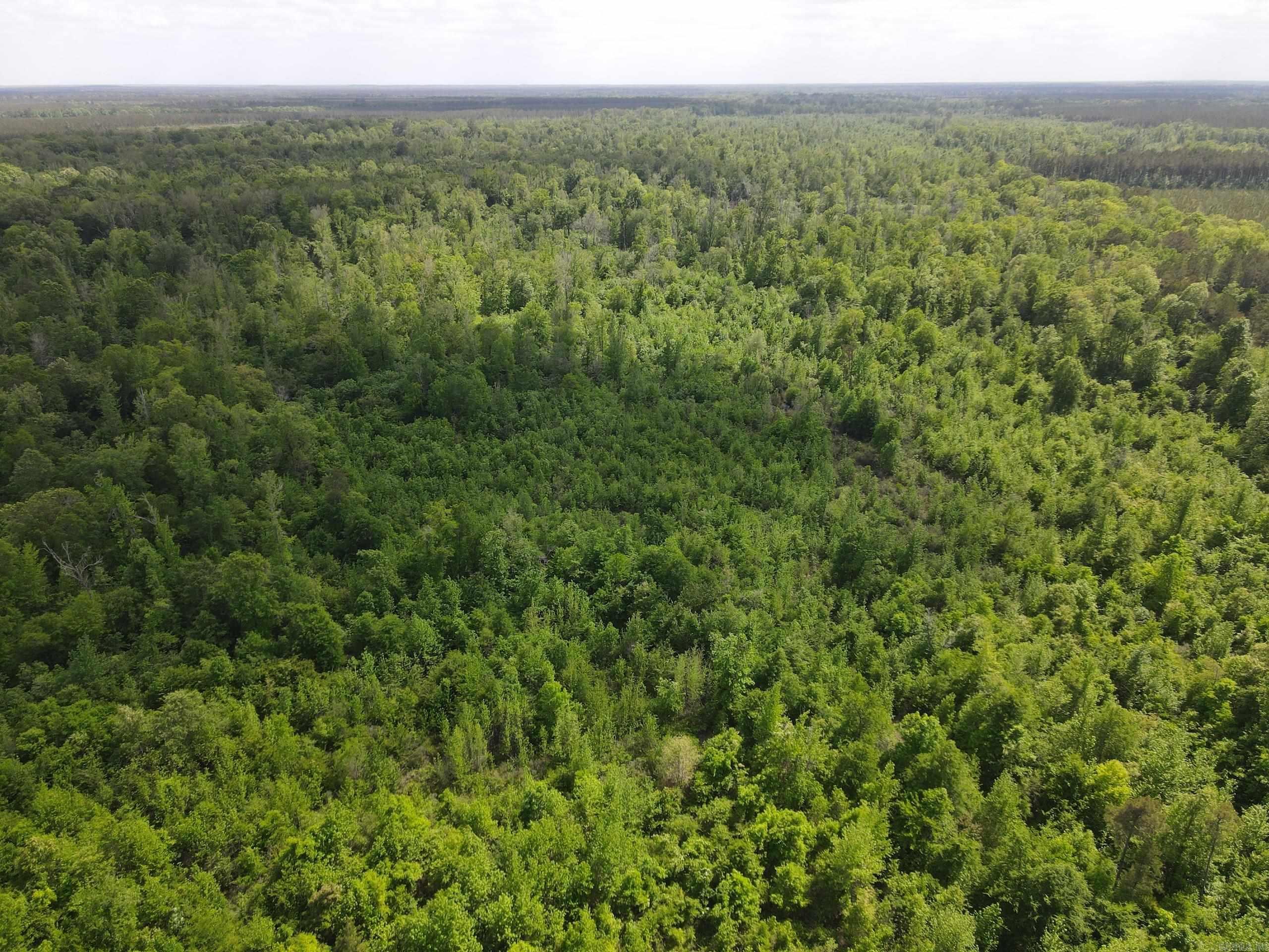 000 County Road 311  Hamburg, AR