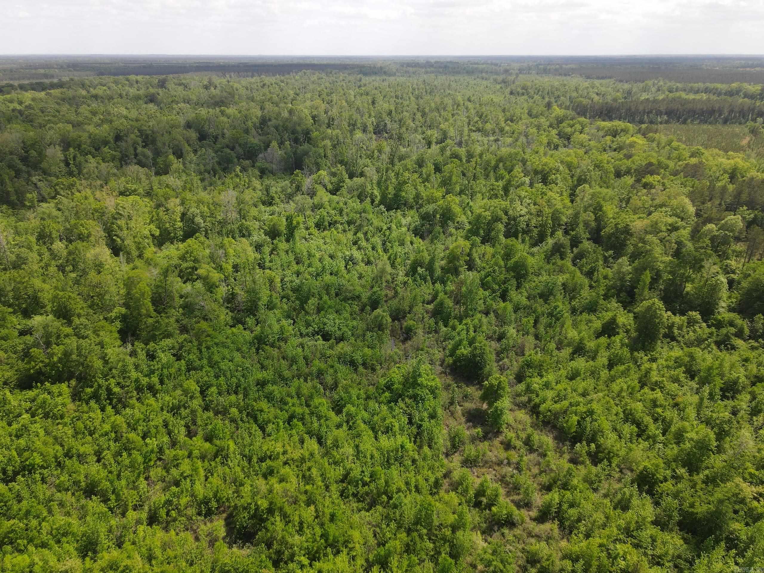 000 County Road 311  Hamburg, AR