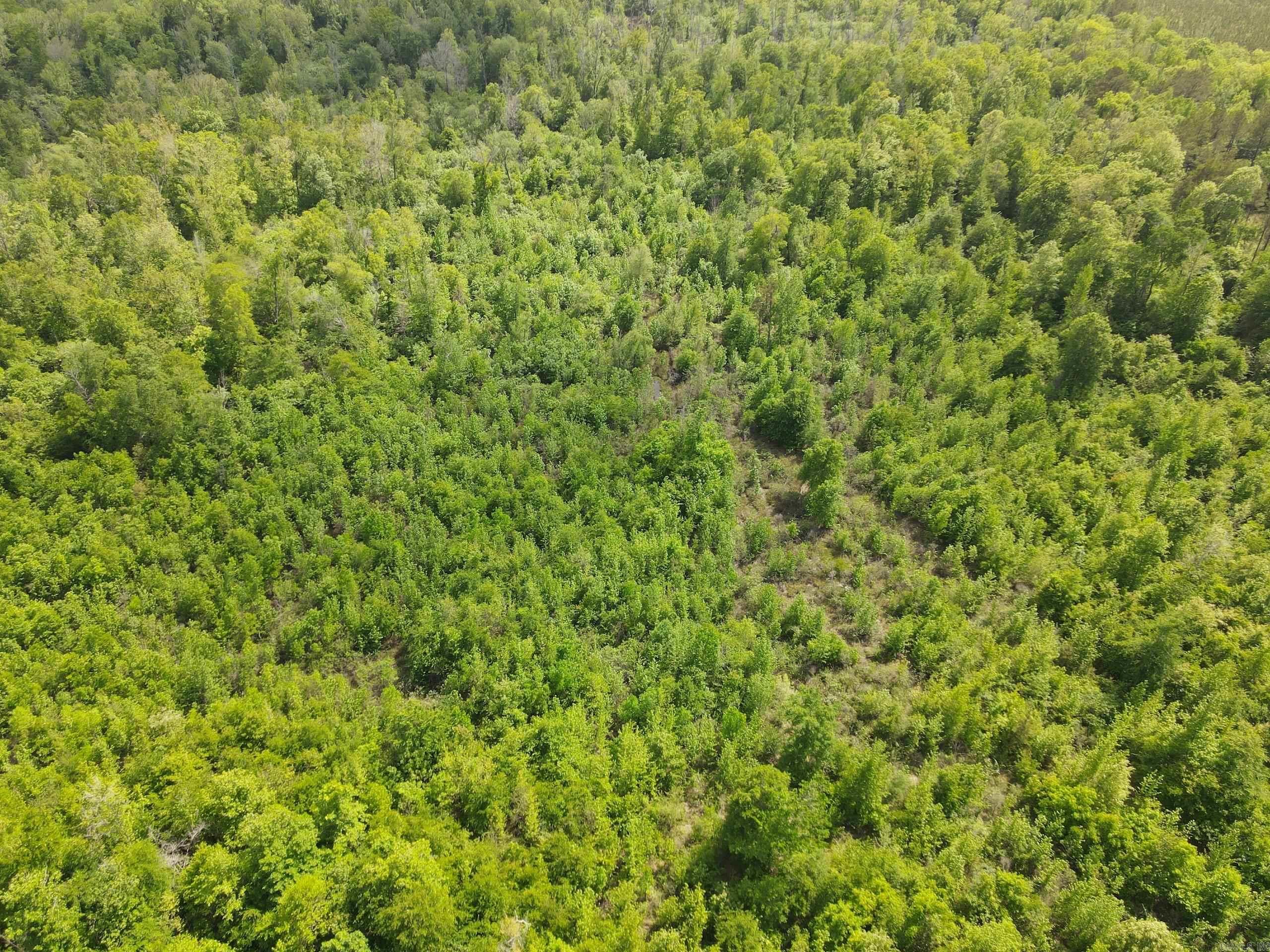 000 County Road 311  Hamburg, AR