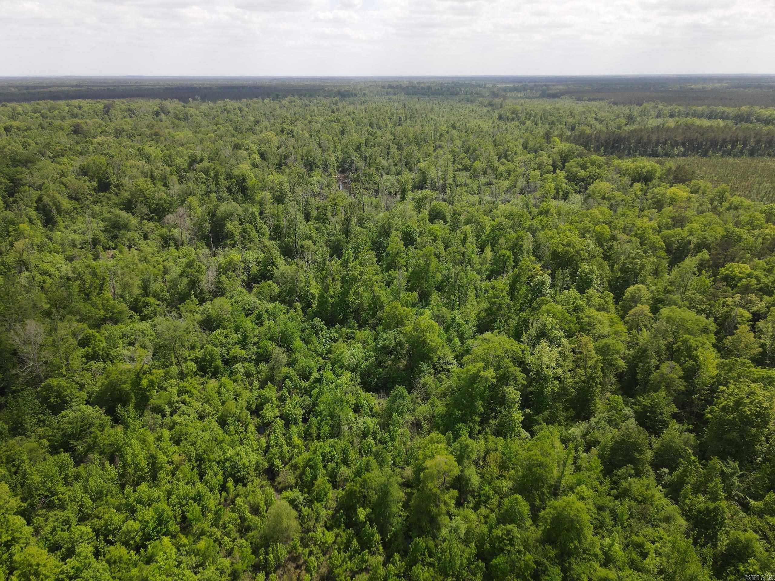 000 County Road 311  Hamburg, AR