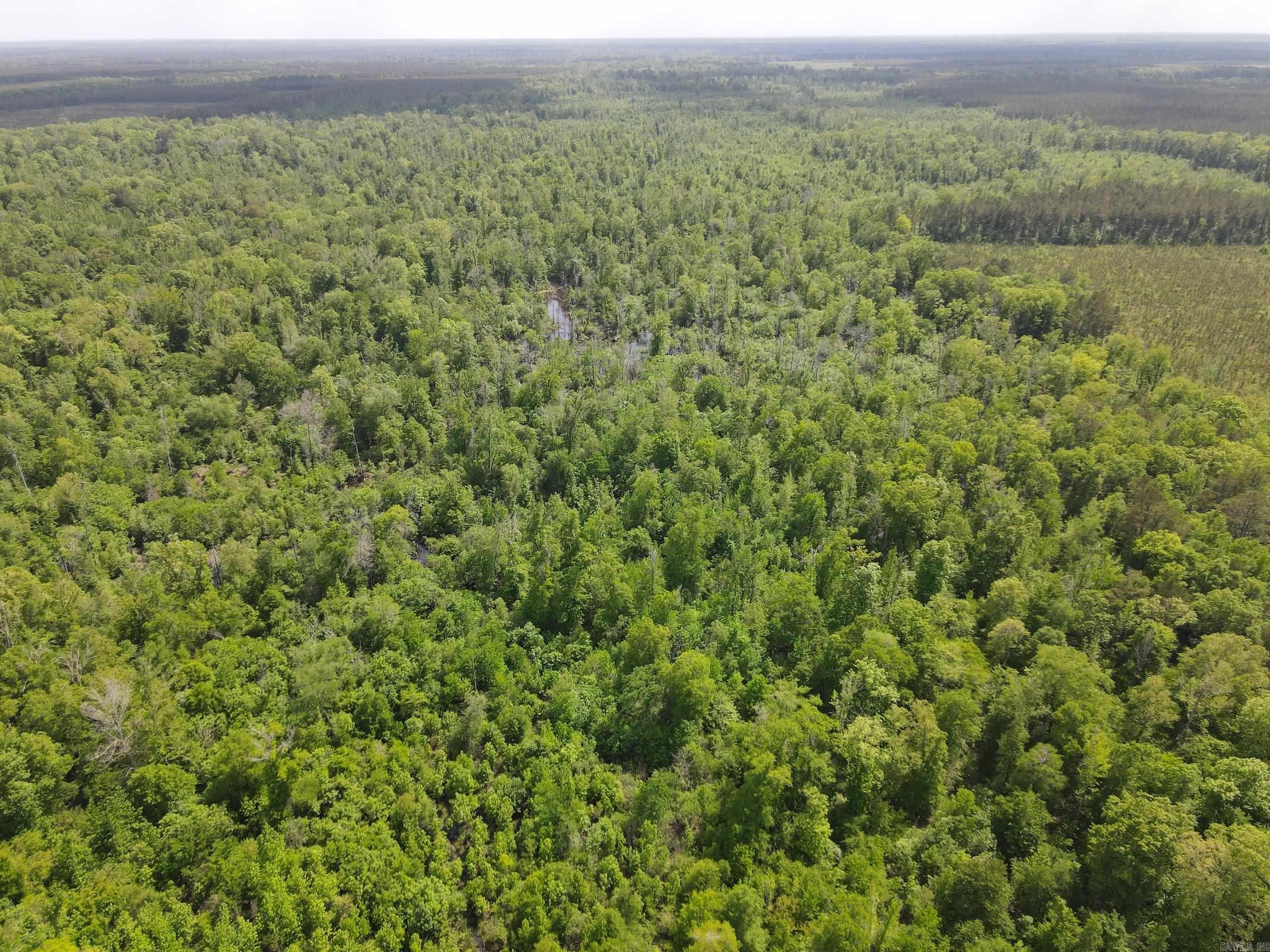 000 County Road 311  Hamburg, AR