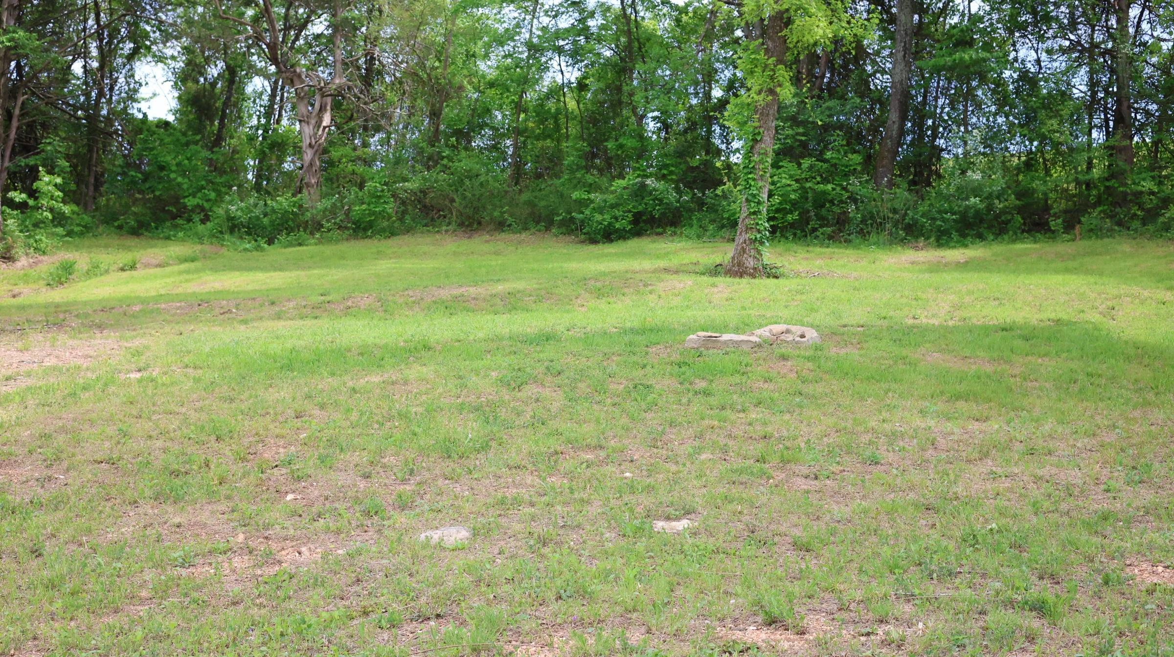 245 McSpadden  Mount Pleasant, AR