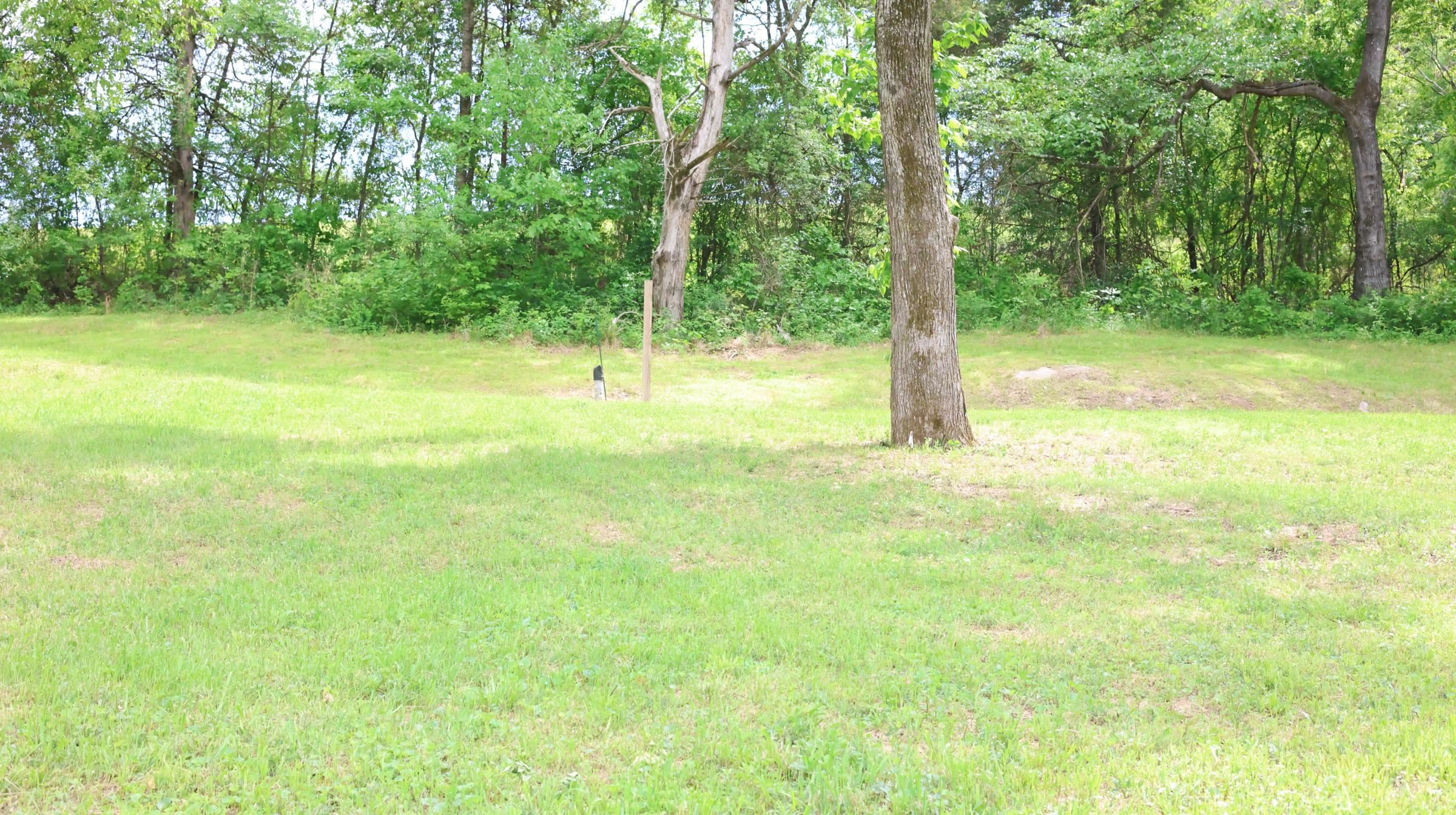 245 McSpadden  Mount Pleasant, AR