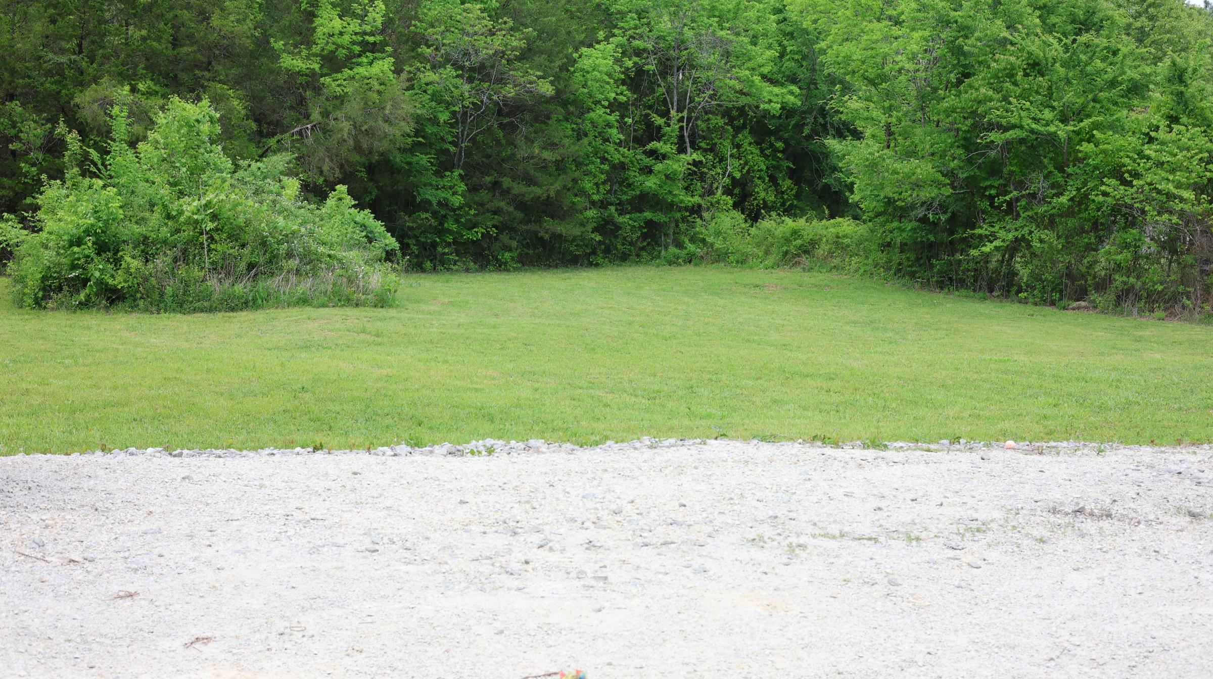 245 McSpadden  Mount Pleasant, AR