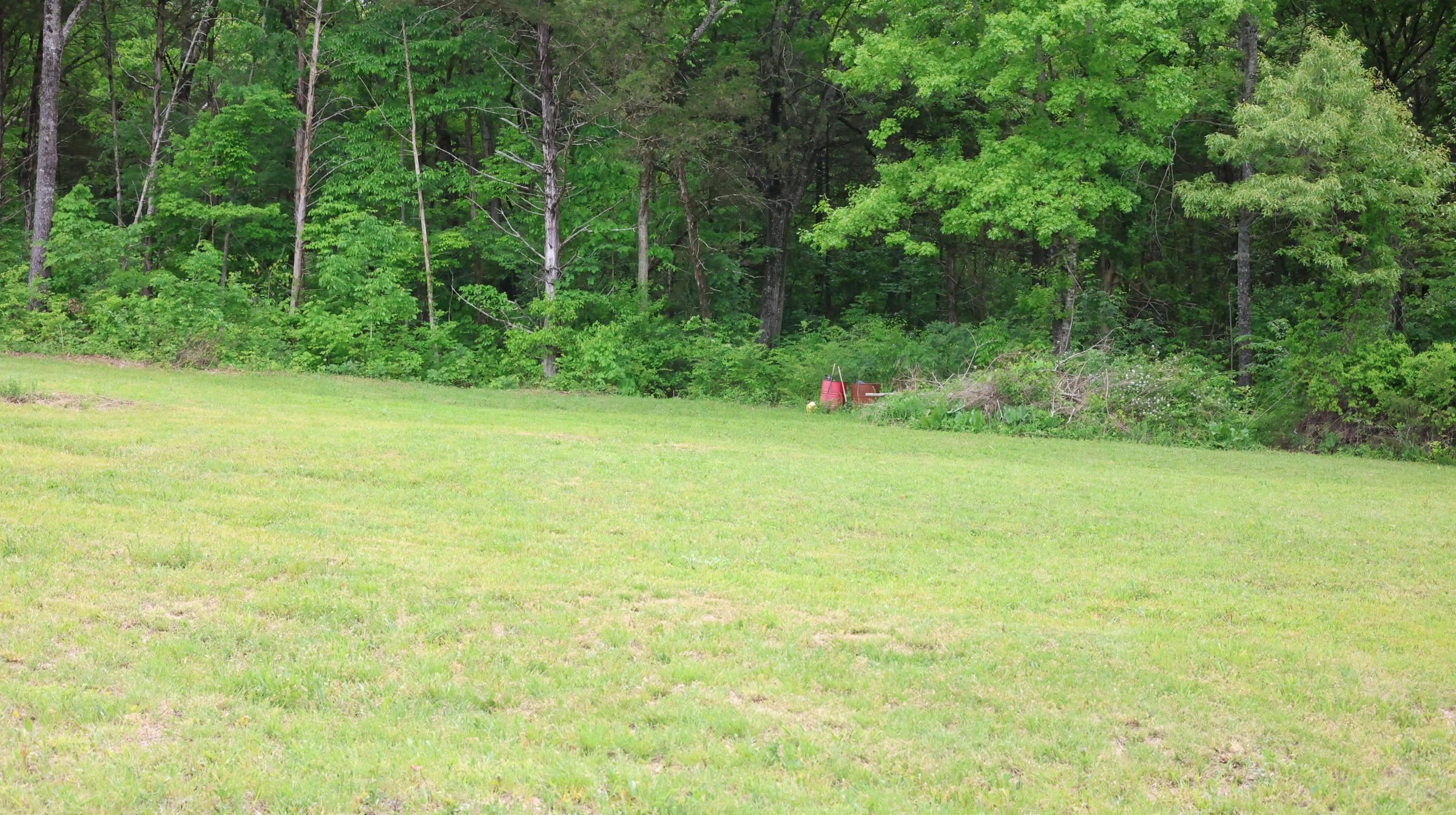 245 McSpadden  Mount Pleasant, AR