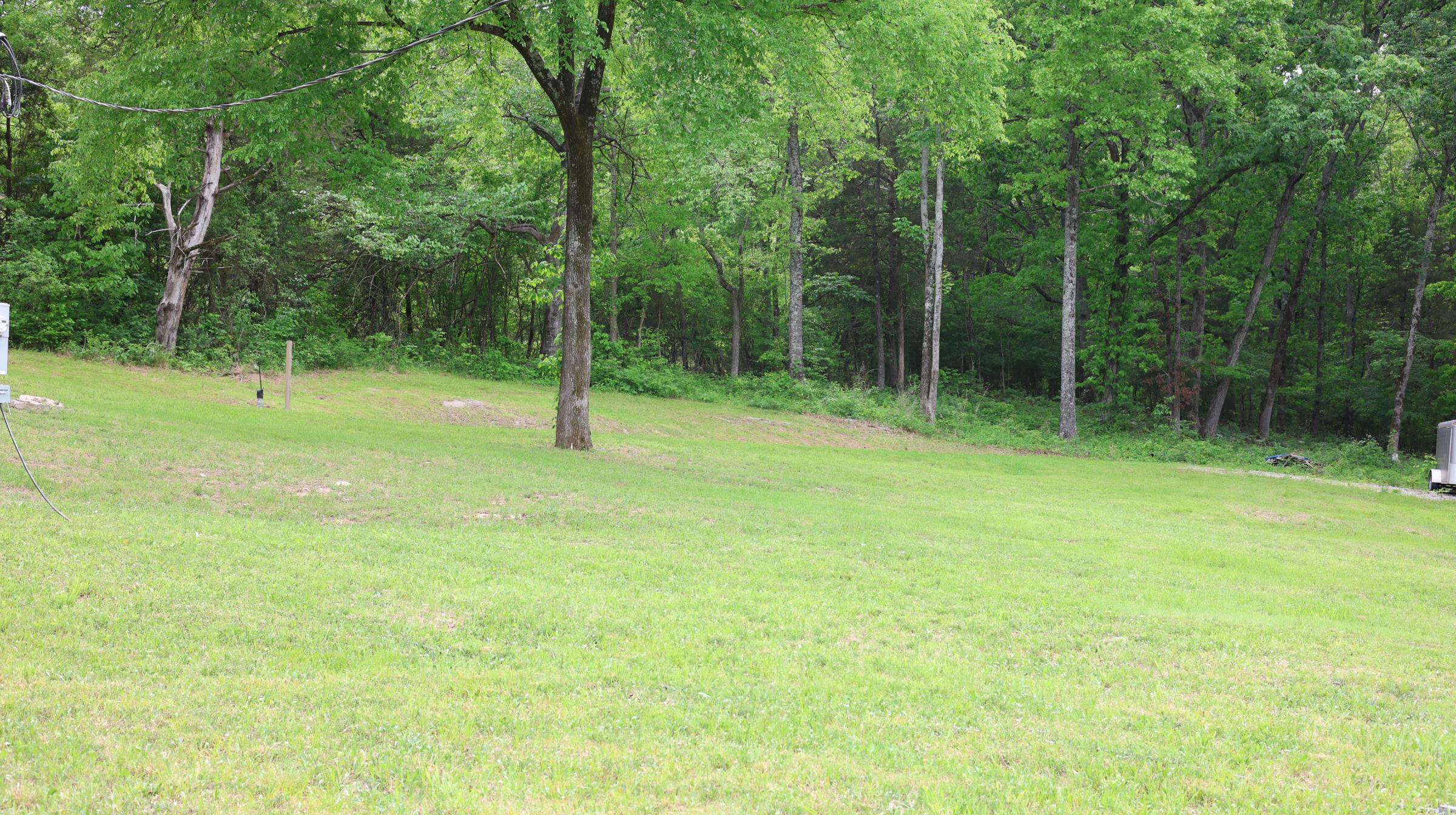 245 McSpadden  Mount Pleasant, AR