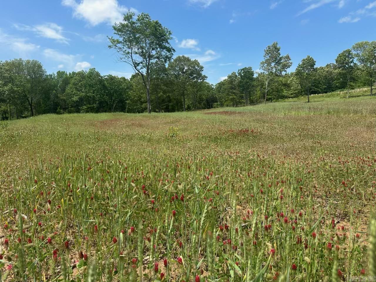 195 Old Springfield Dr  Quitman, AR