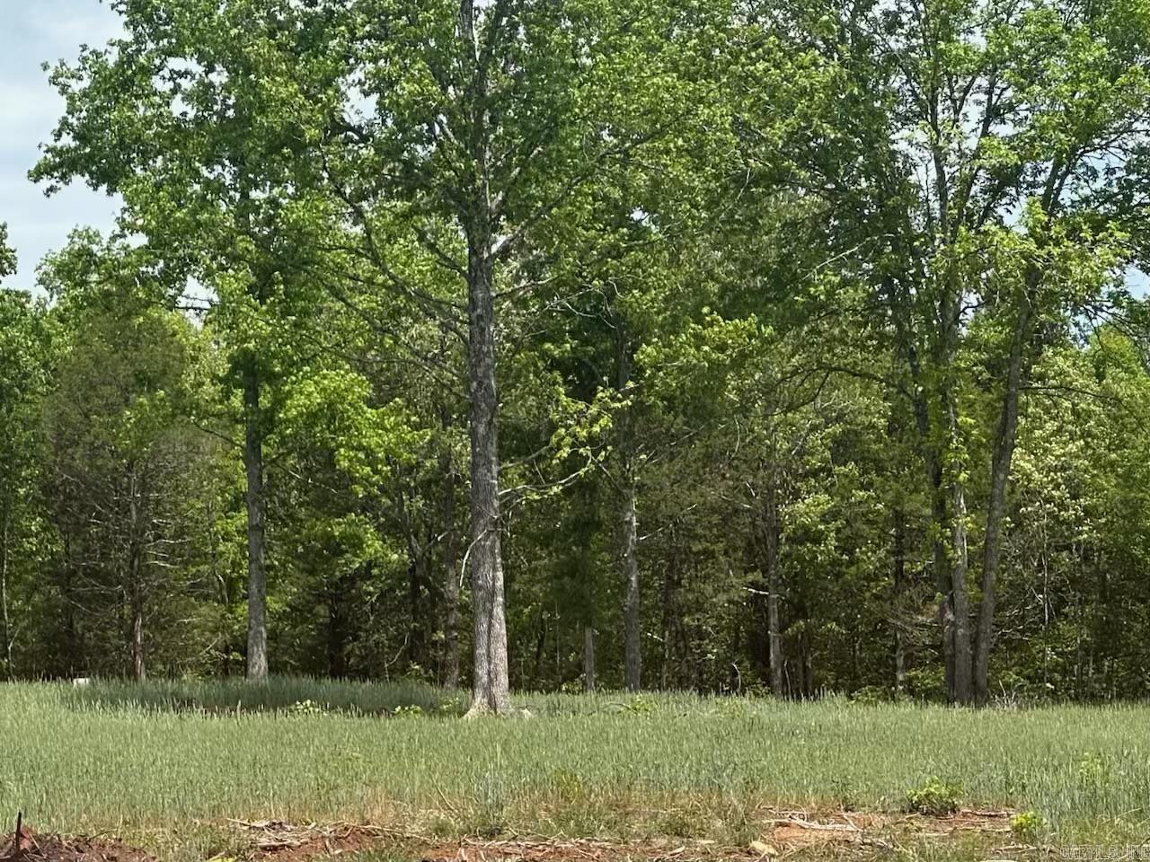 195 Old Springfield Dr  Quitman, AR
