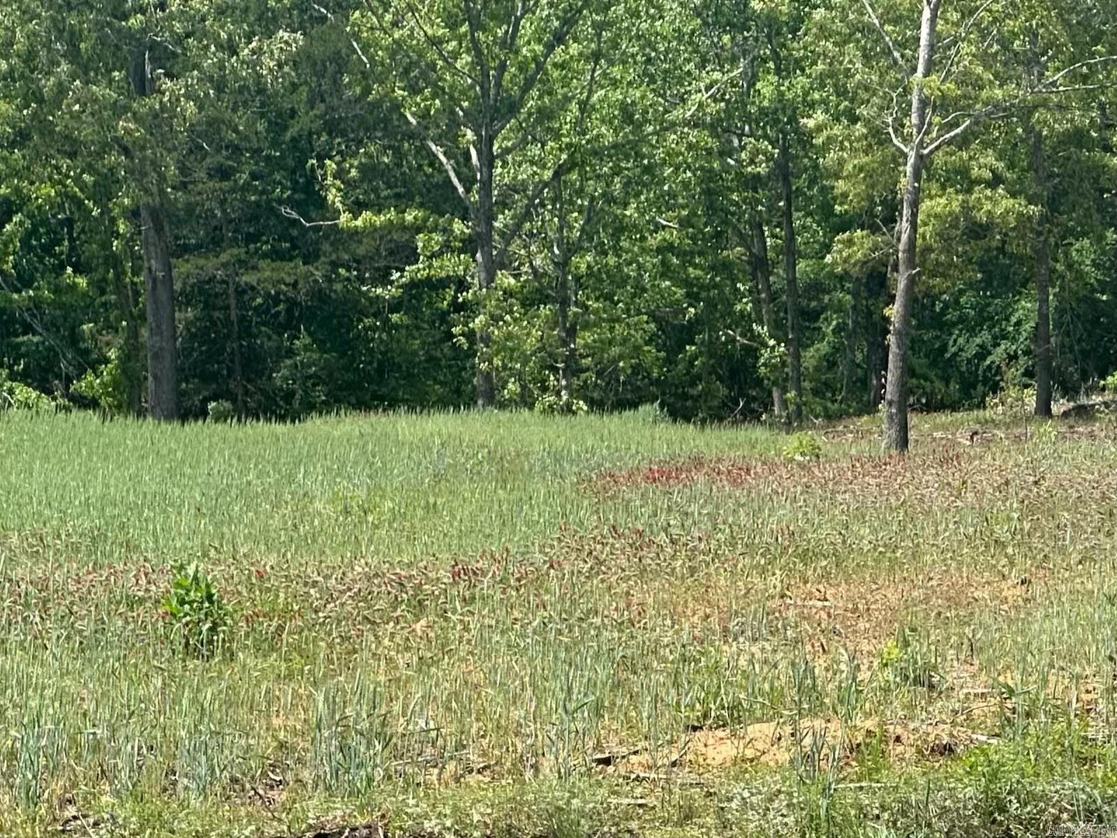 195 Old Springfield Dr  Quitman, AR