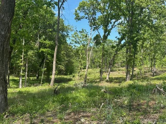 195 Old Springfield Dr  Quitman, AR
