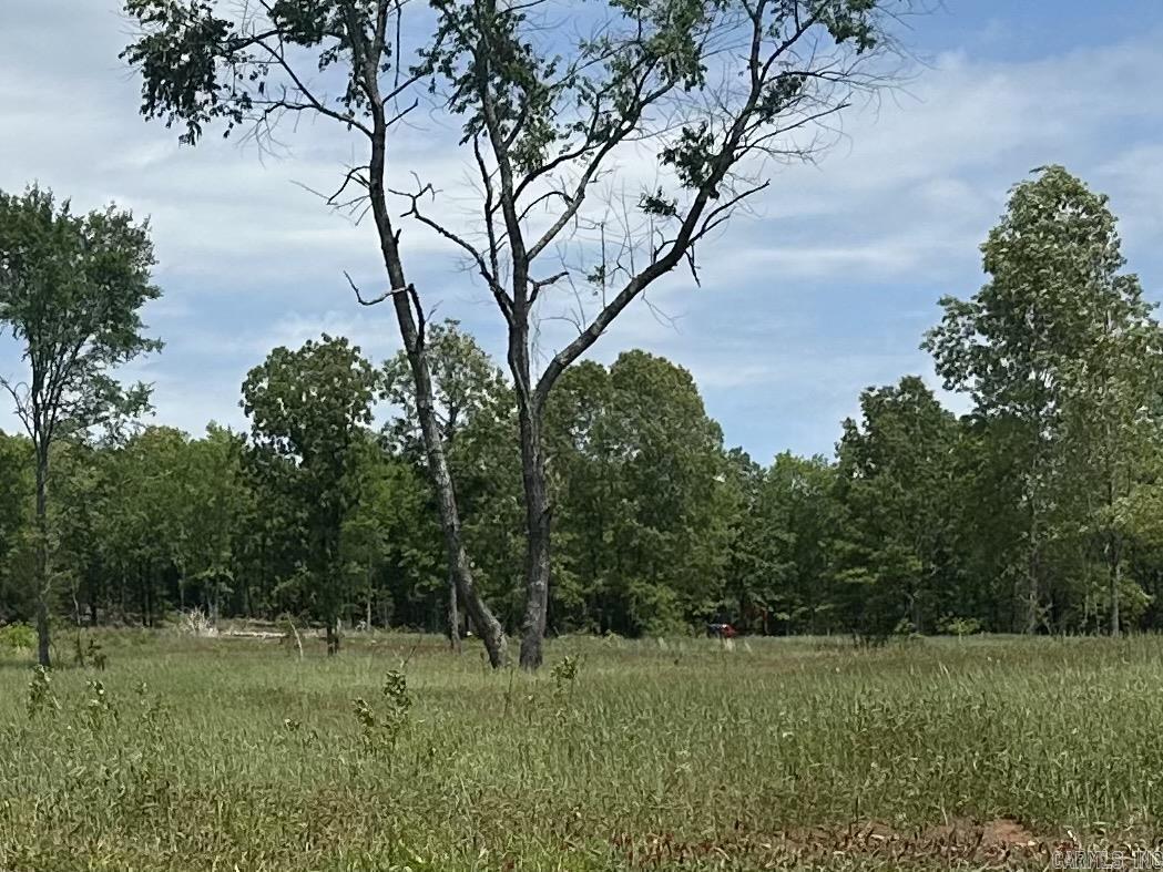 195 Old Springfield Dr  Quitman, AR