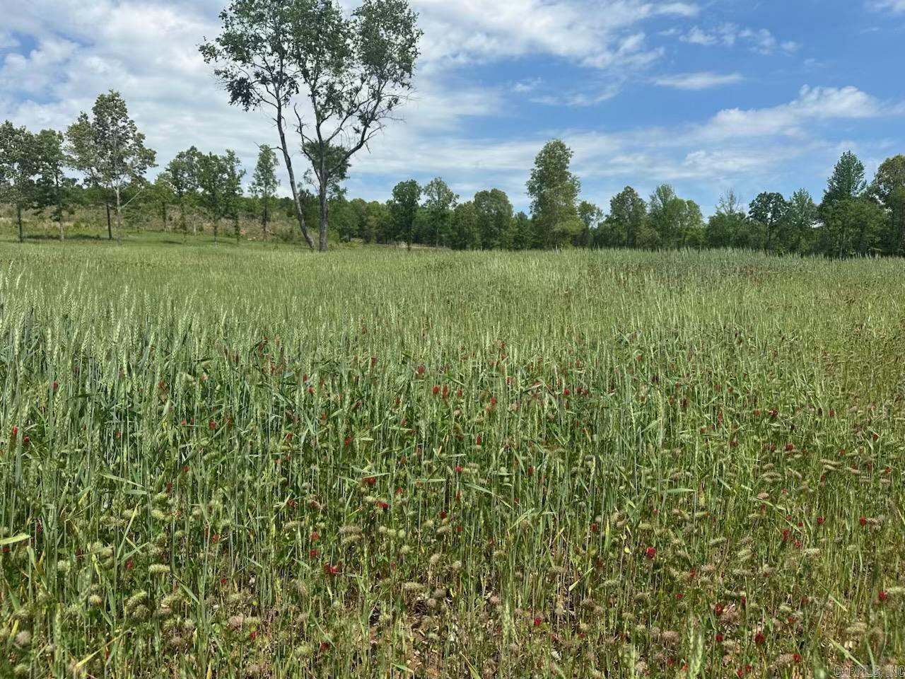 195 Old Springfield Dr  Quitman, AR