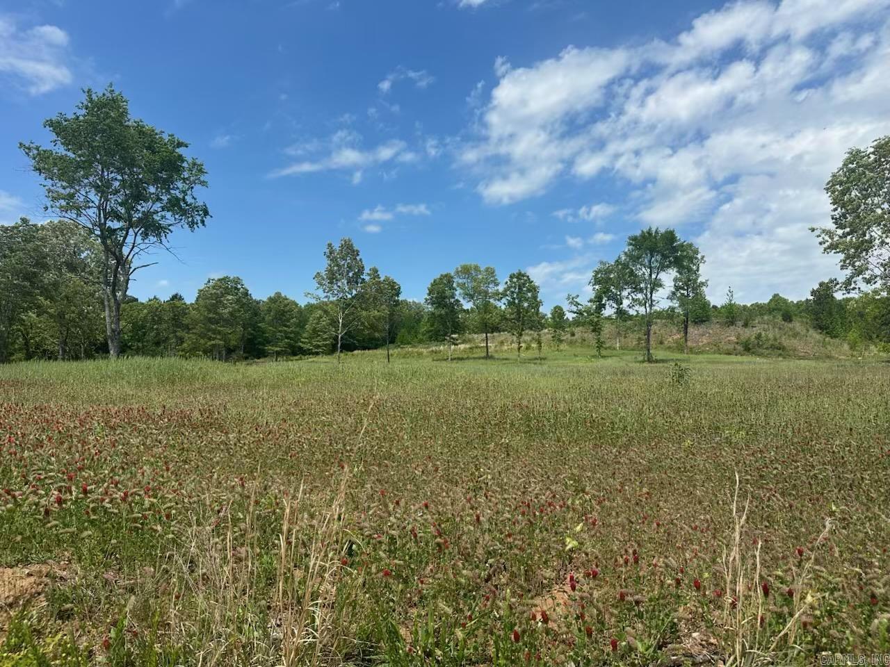 195 Old Springfield Dr  Quitman, AR