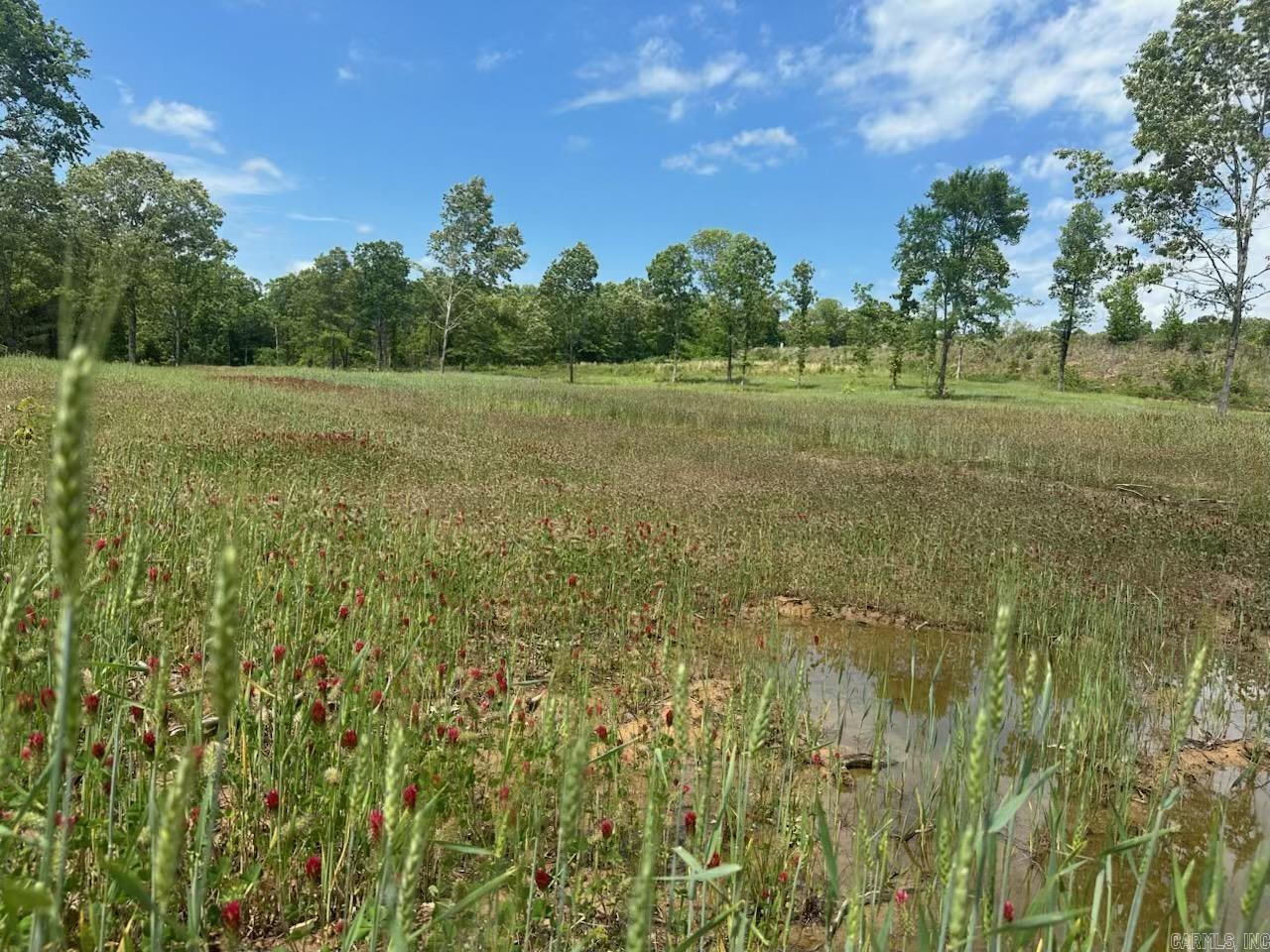195 Old Springfield Dr  Quitman, AR