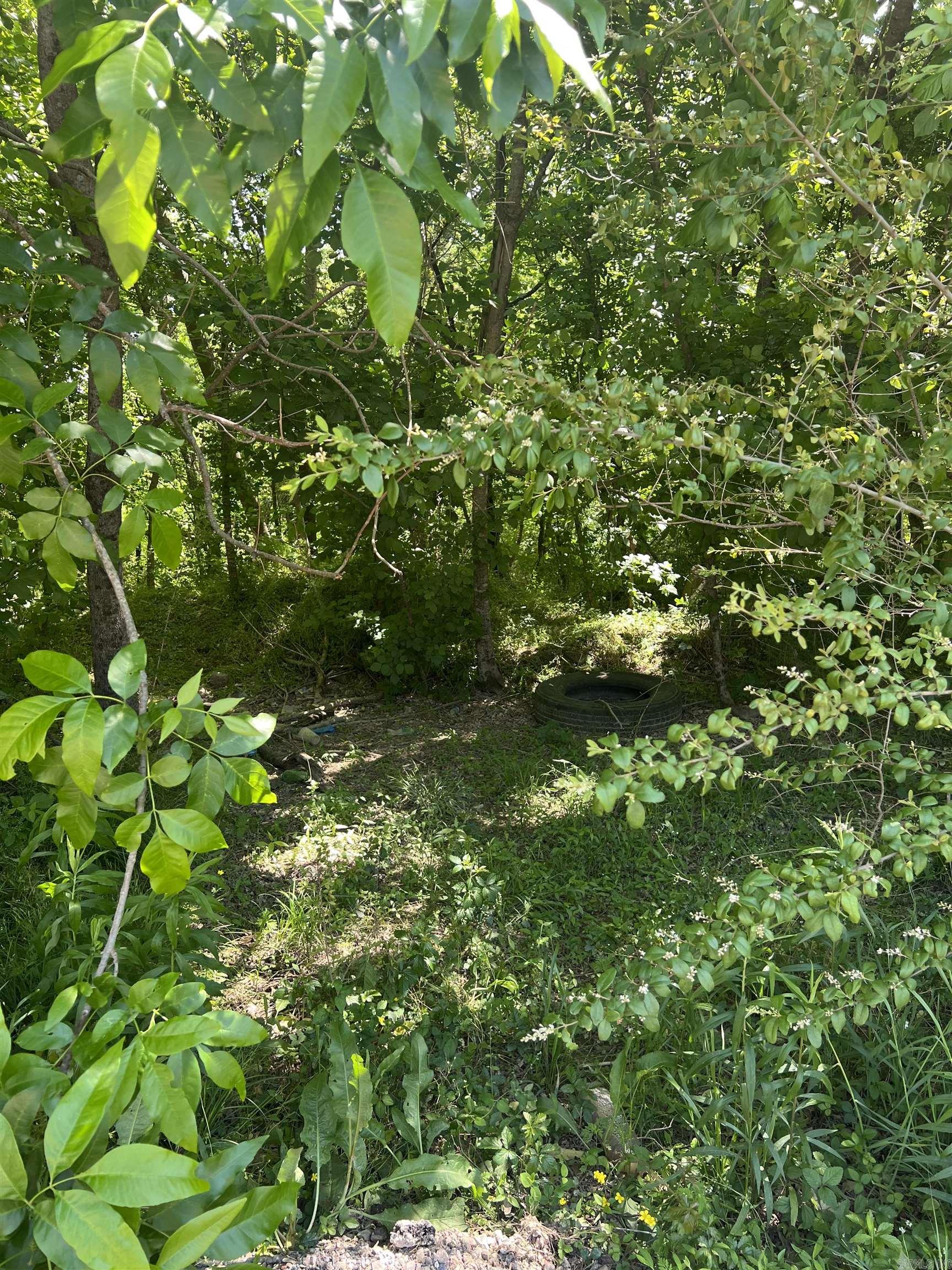 xx Park Ave hwy 5  Hot Springs, AR