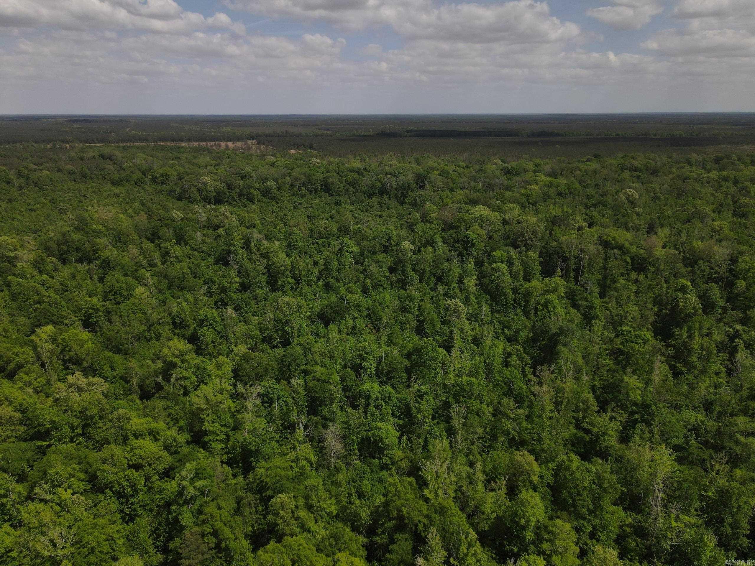 001 County Road 311  Hamburg, AR