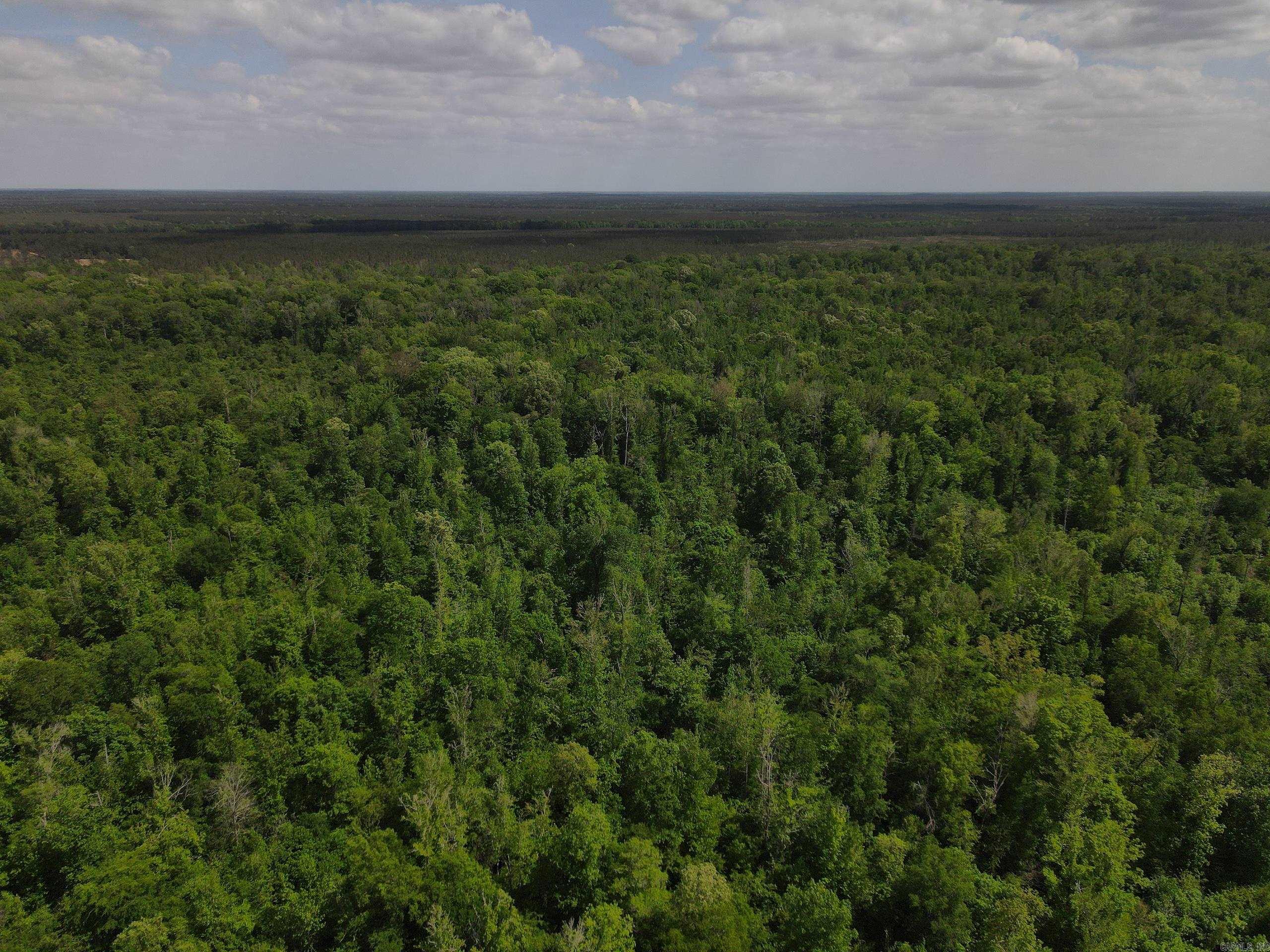 001 County Road 311  Hamburg, AR