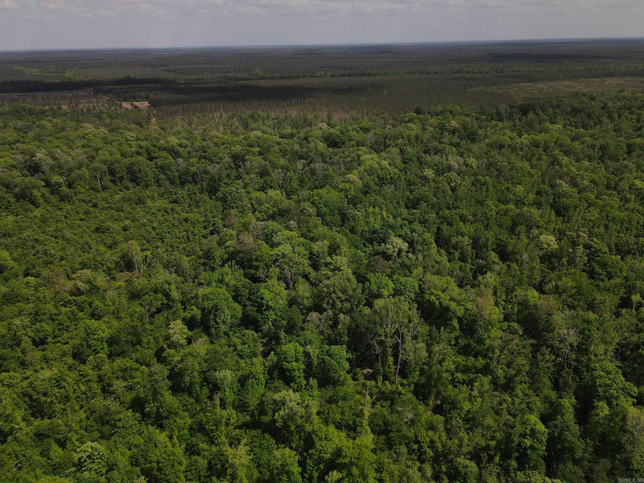 001 County Road 311  Hamburg, AR