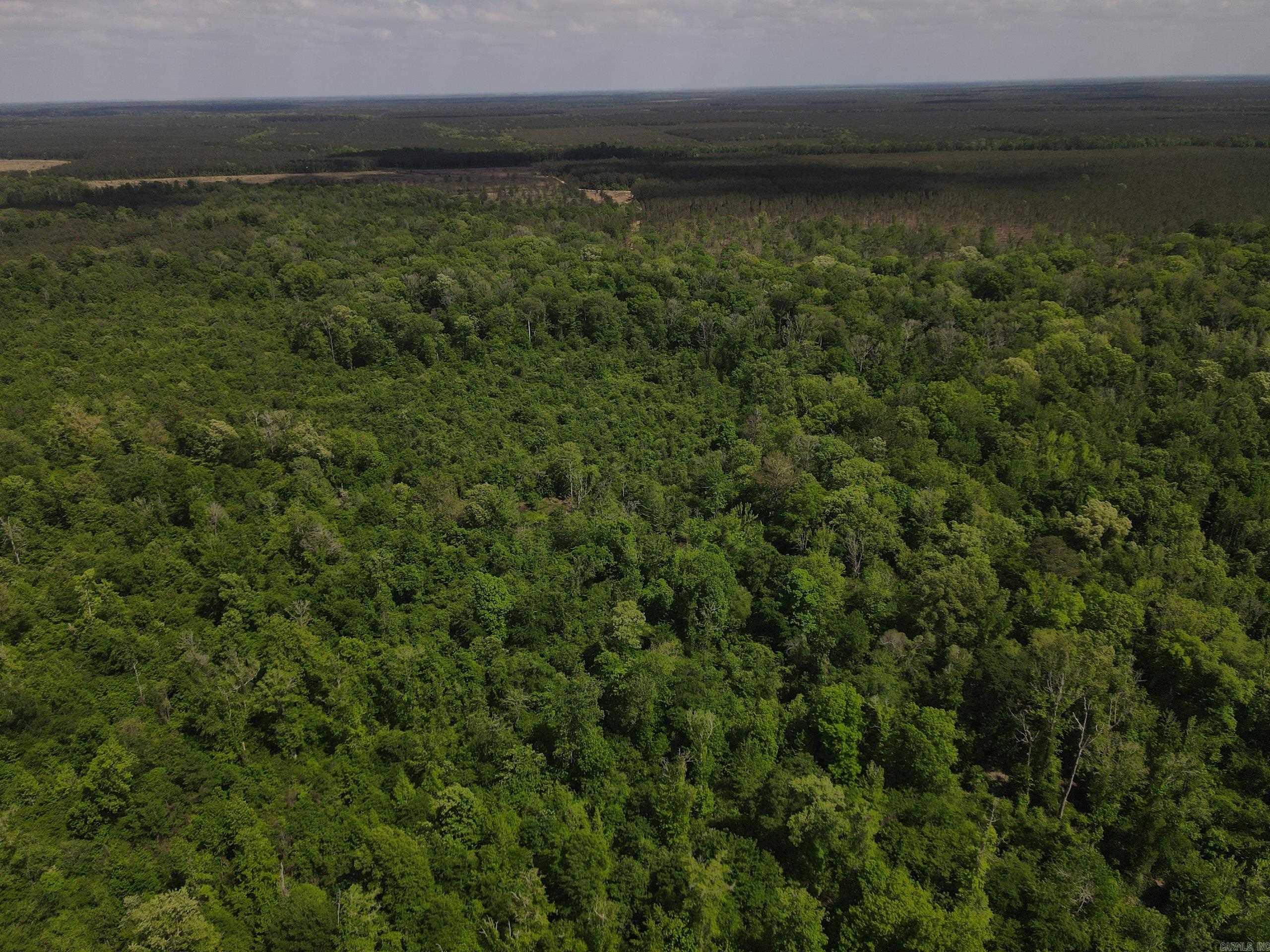 001 County Road 311  Hamburg, AR