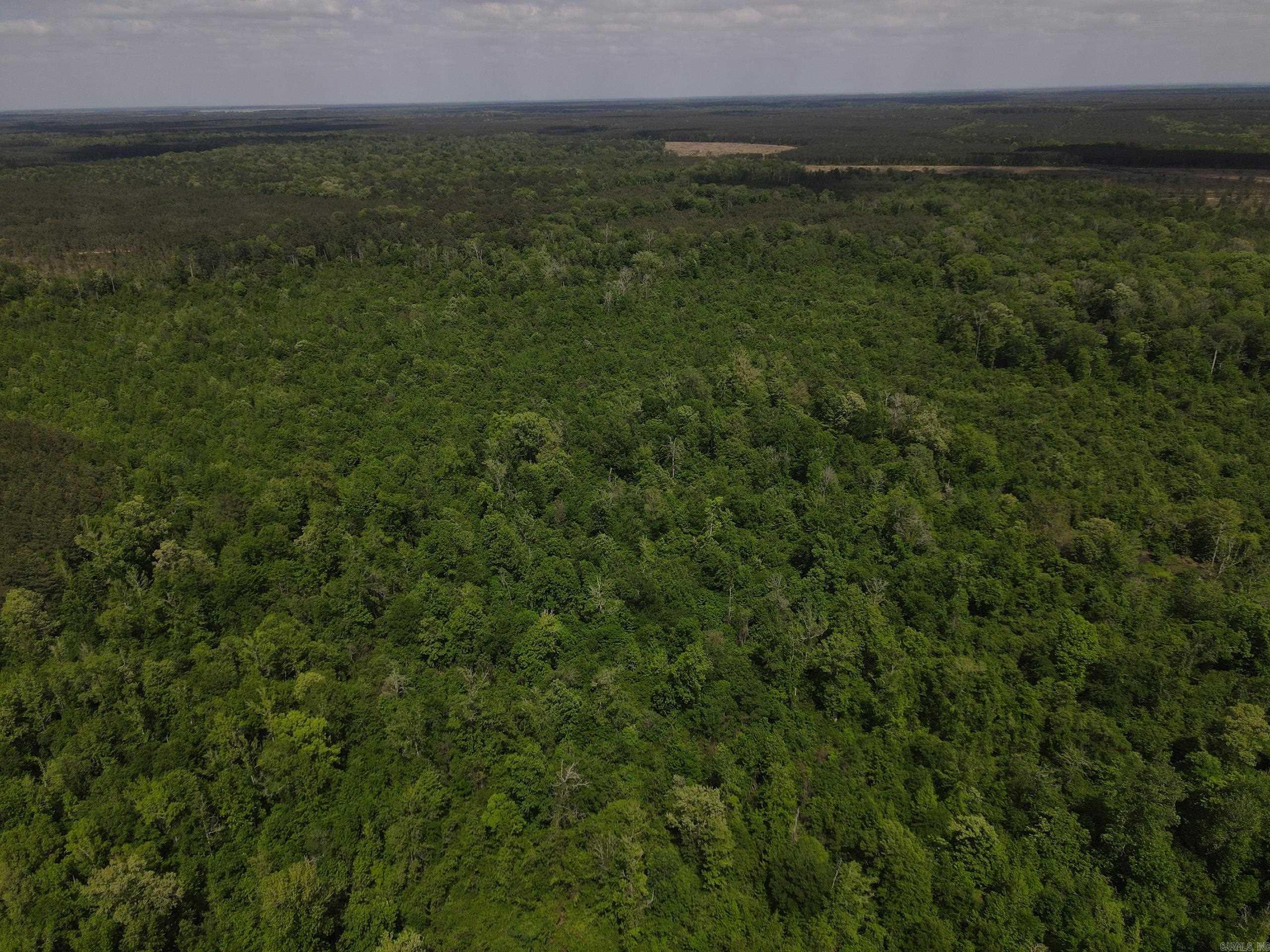 001 County Road 311  Hamburg, AR